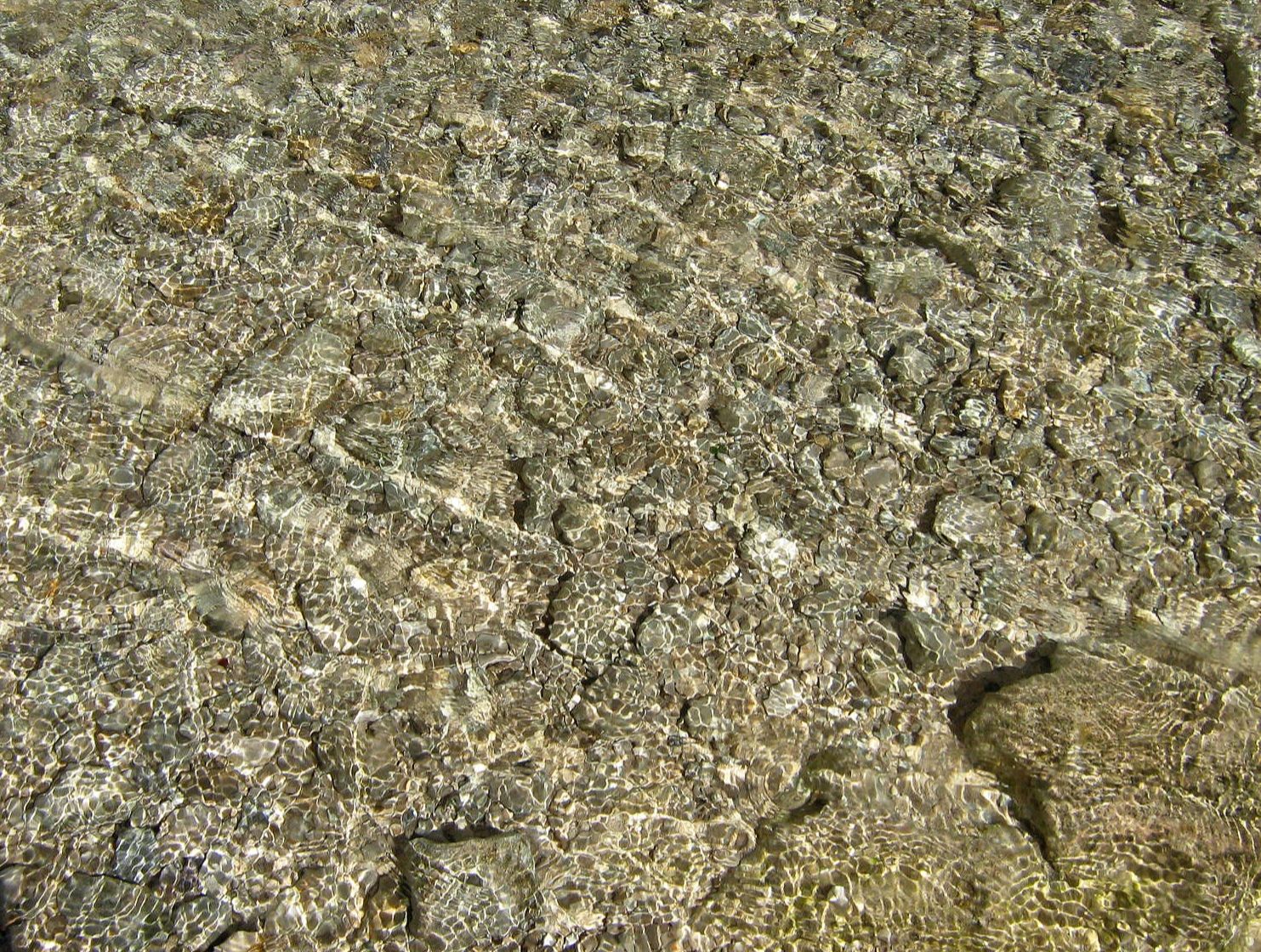 Community photo by Hassan