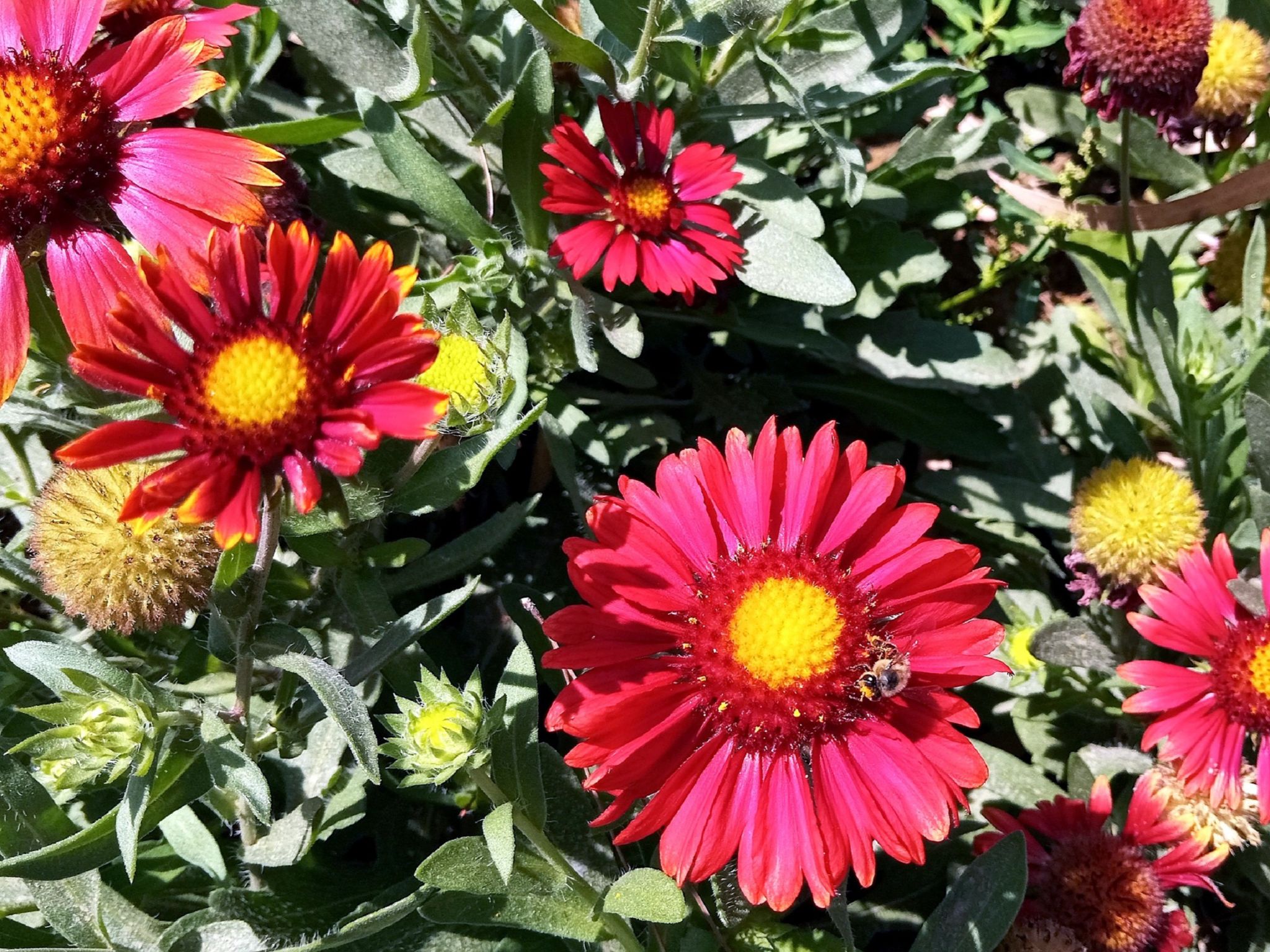 Community photo by Hassan