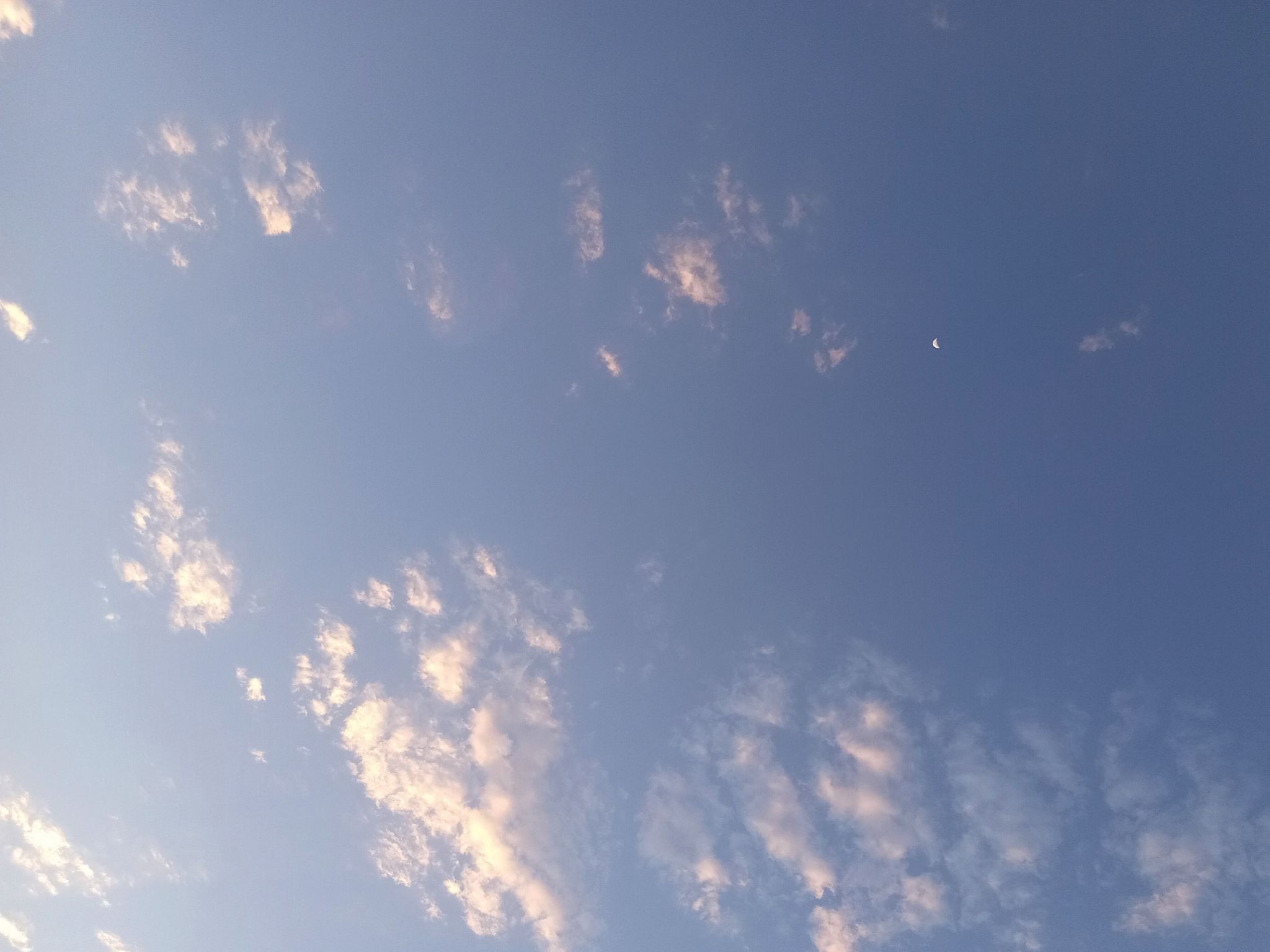 Community photo by Hassan