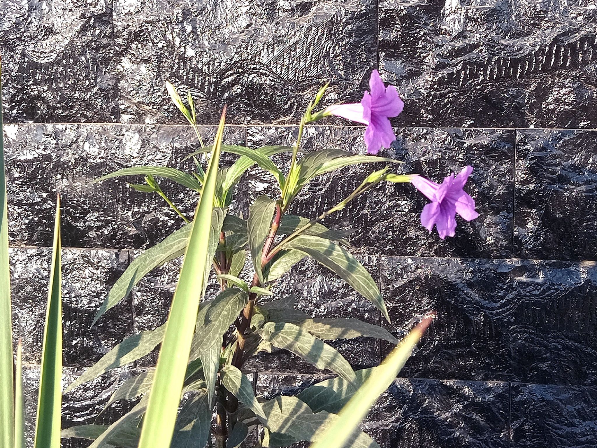 Community photo by Hassan