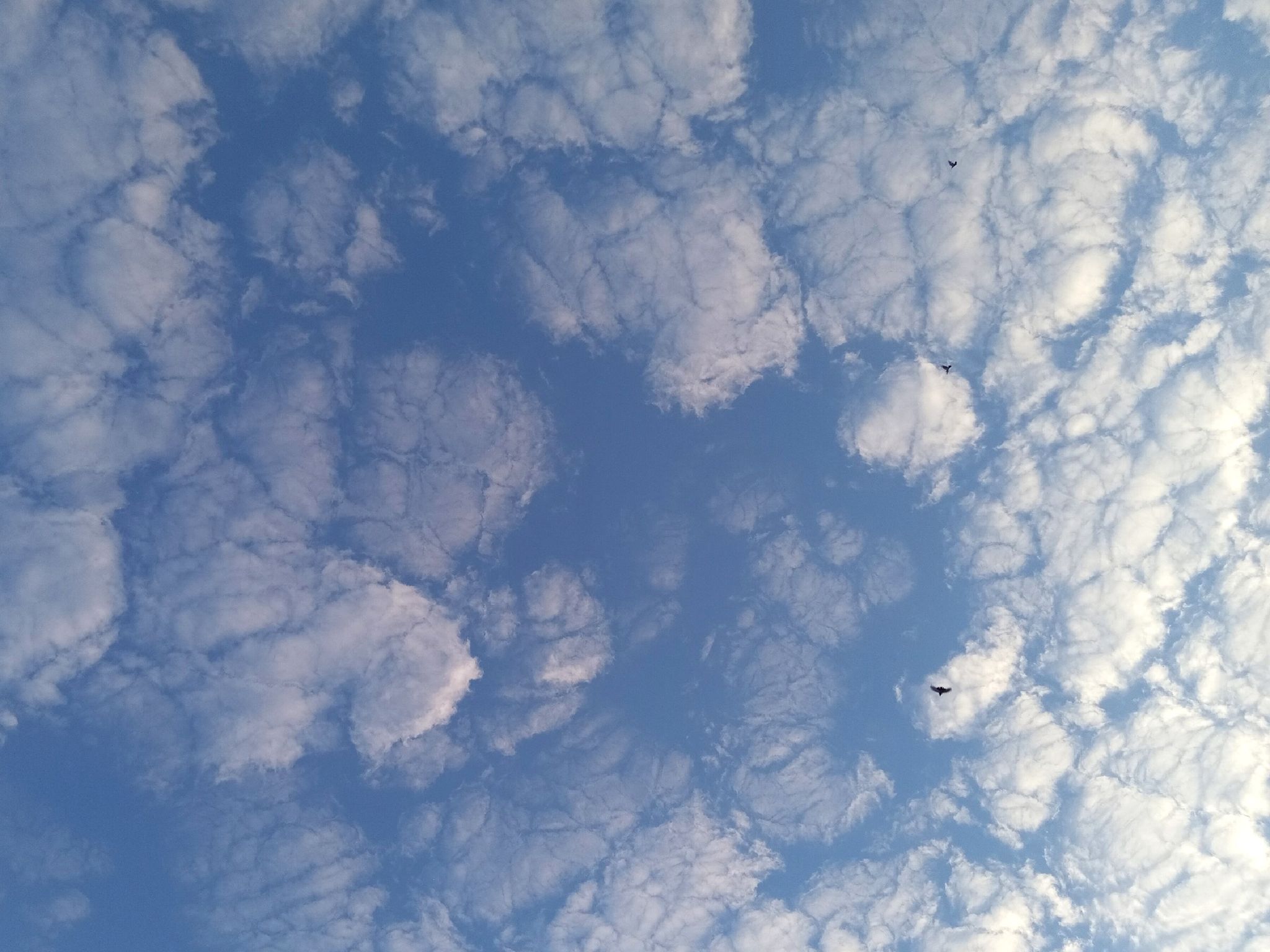 Community photo by Hassan