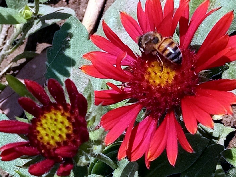 Community photo by Hassan