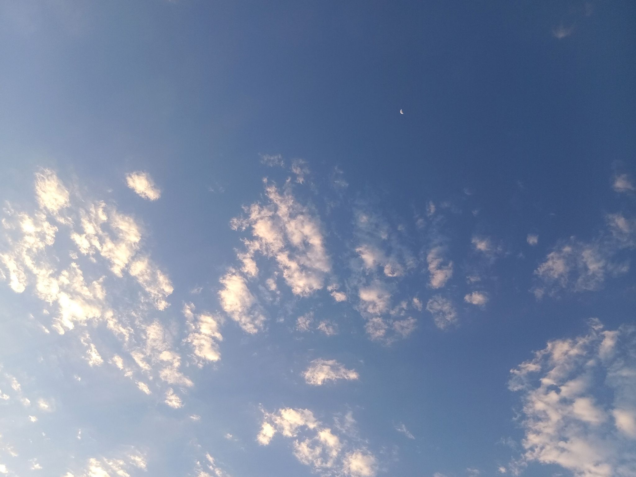 Community photo by Hassan