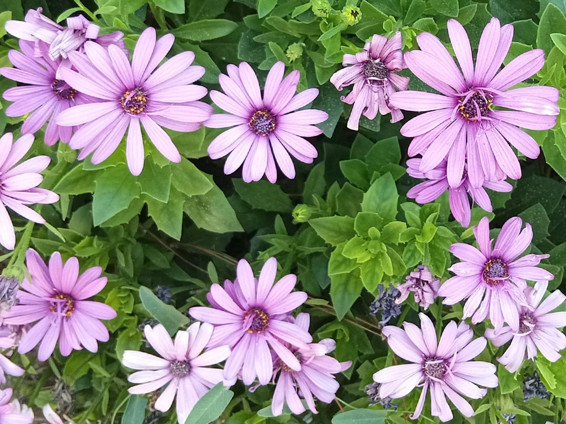 Community photo by Hassan