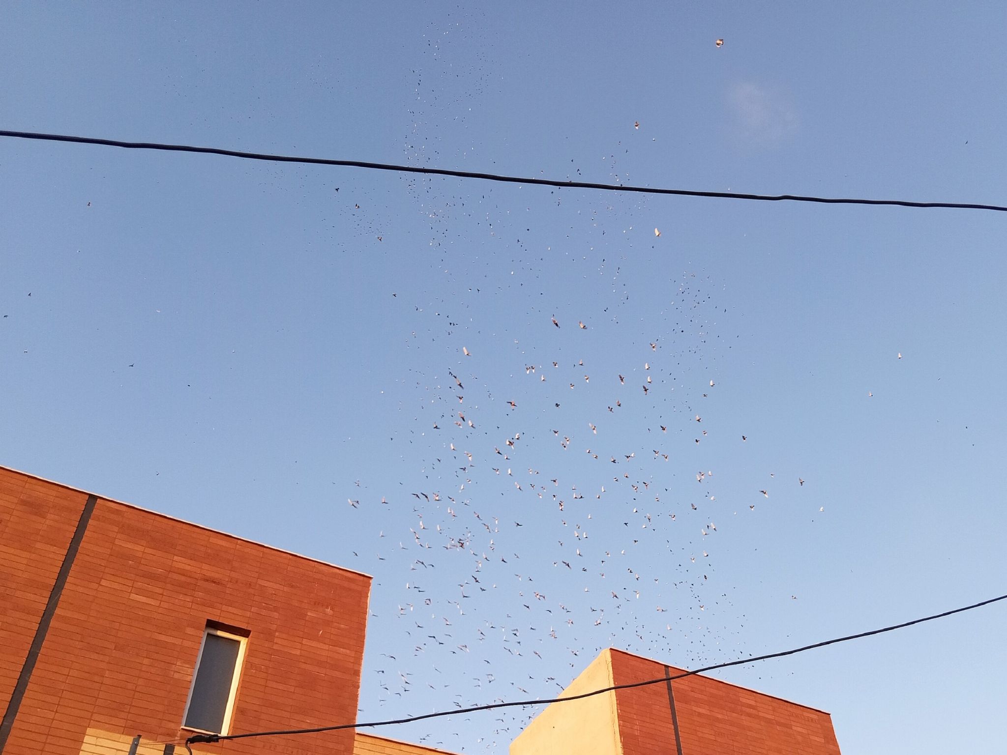 Community photo by Hassan