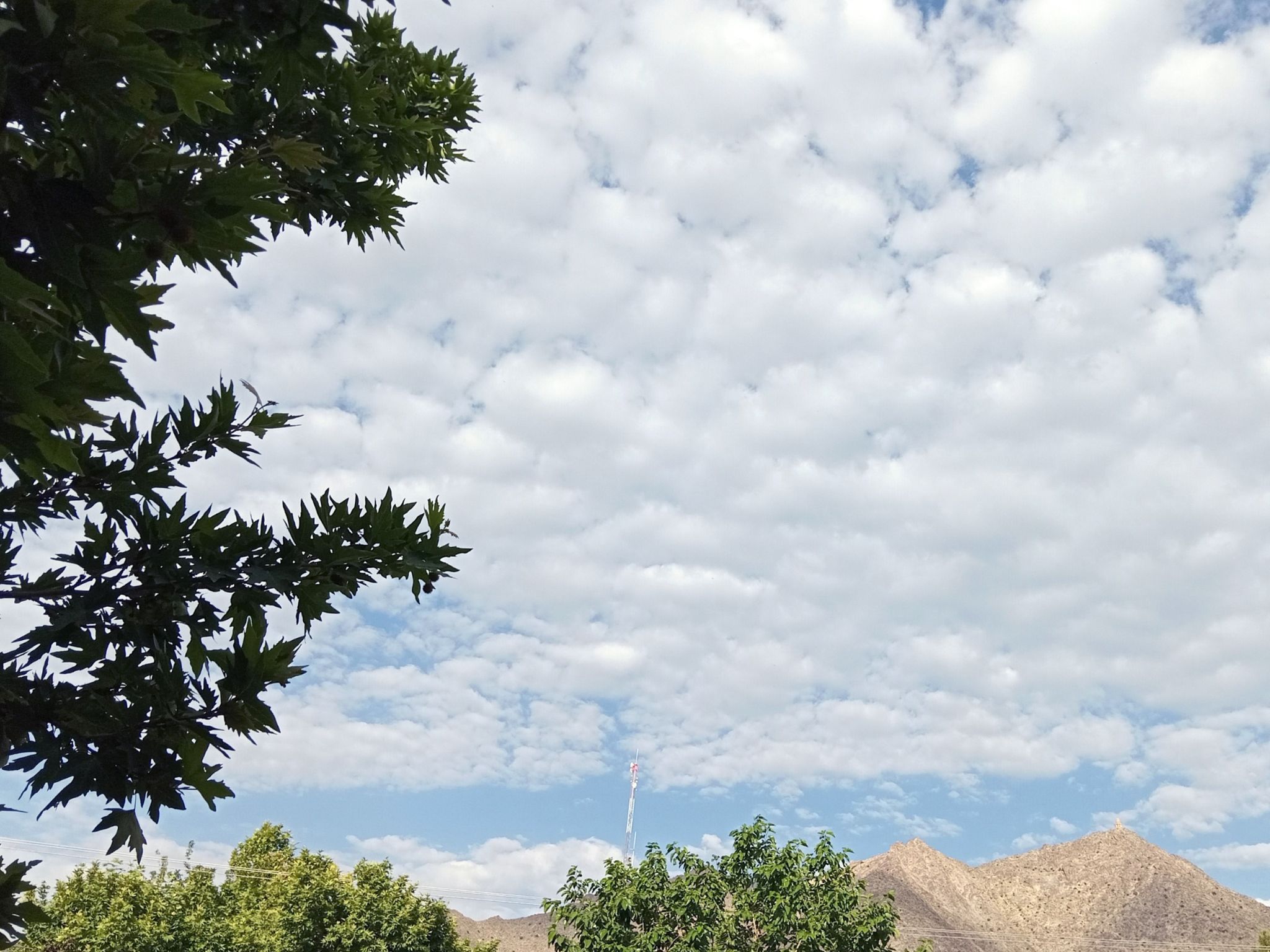 Community photo entitled  by Hassan Dadashi  Arani on 08/29/2025 at Esfahan province. Iran