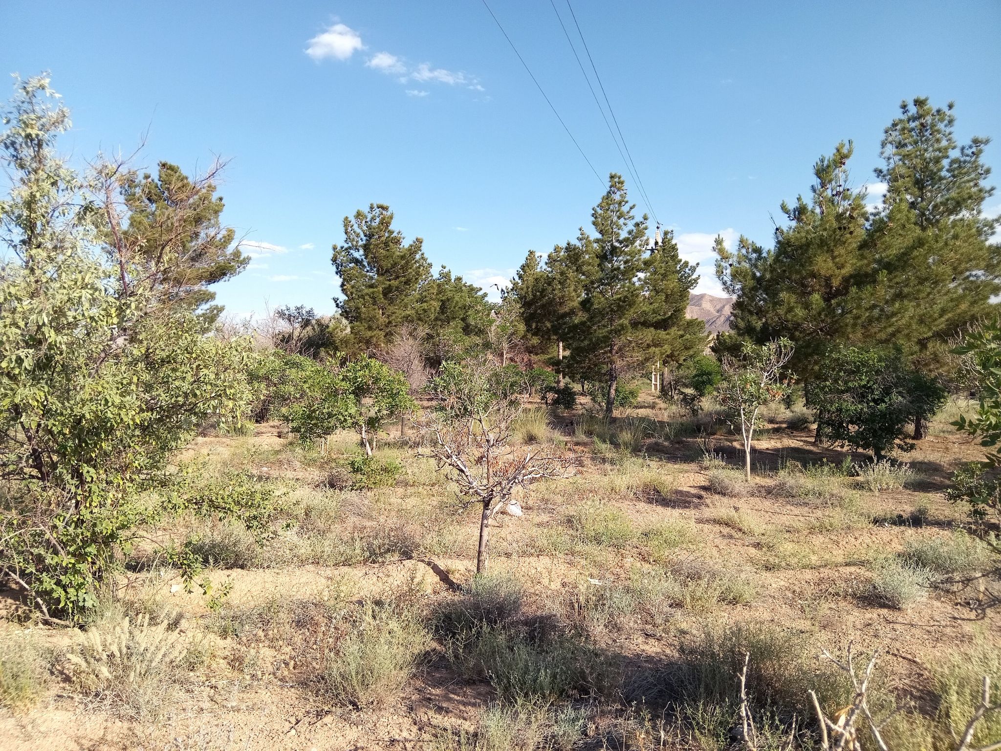 Community photo by Hassan