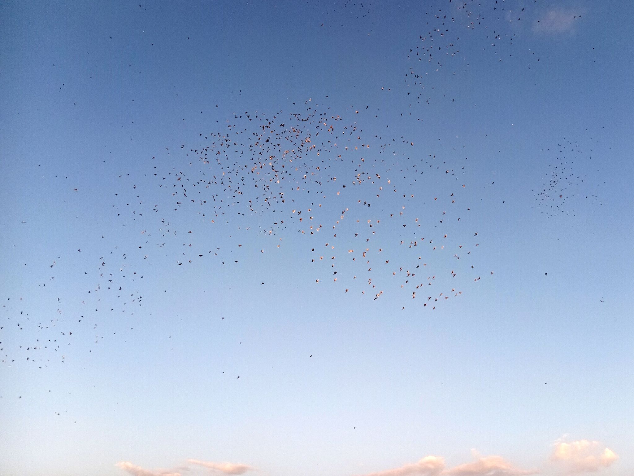 Community photo by Hassan