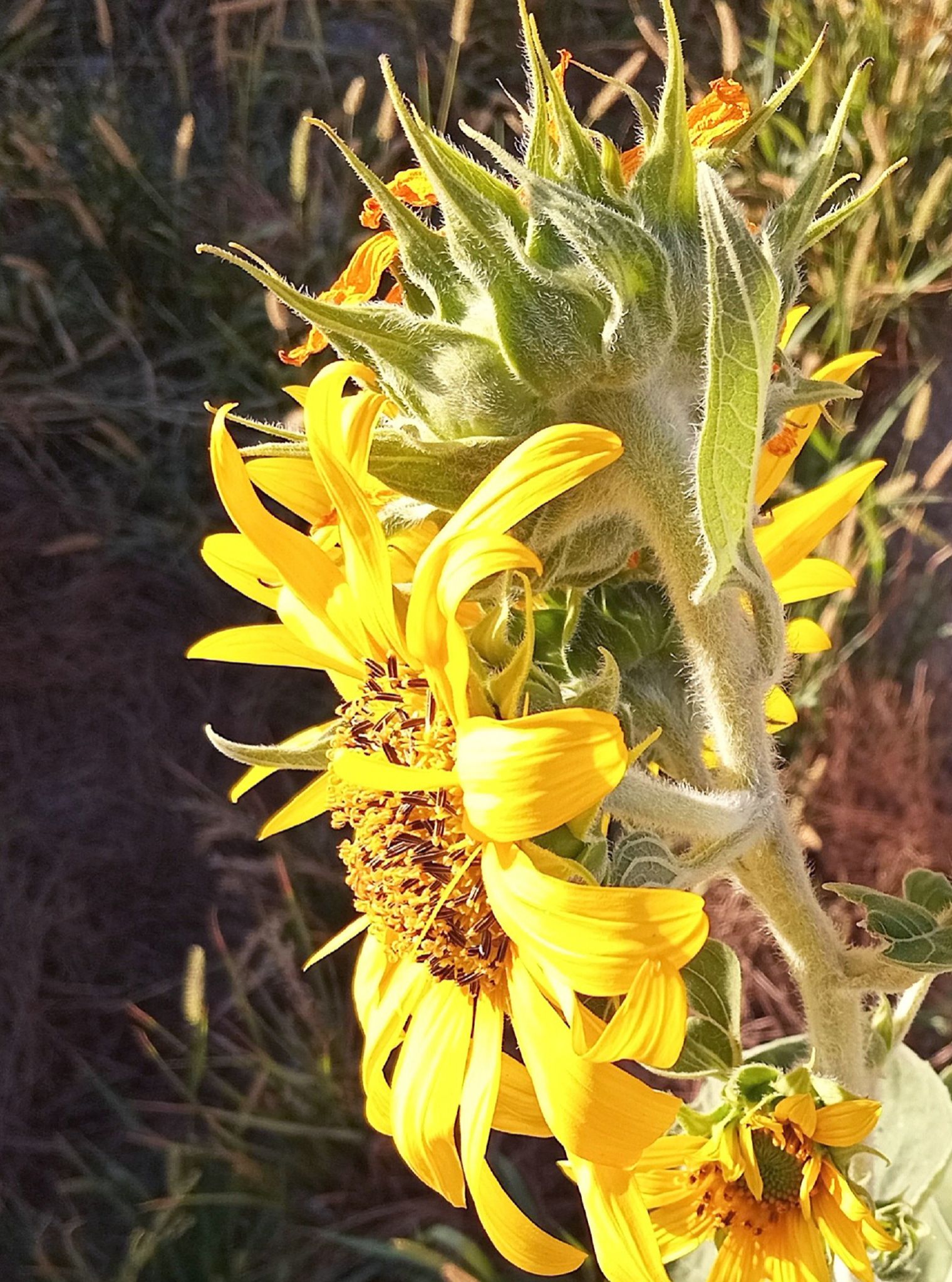 Community photo by Hassan