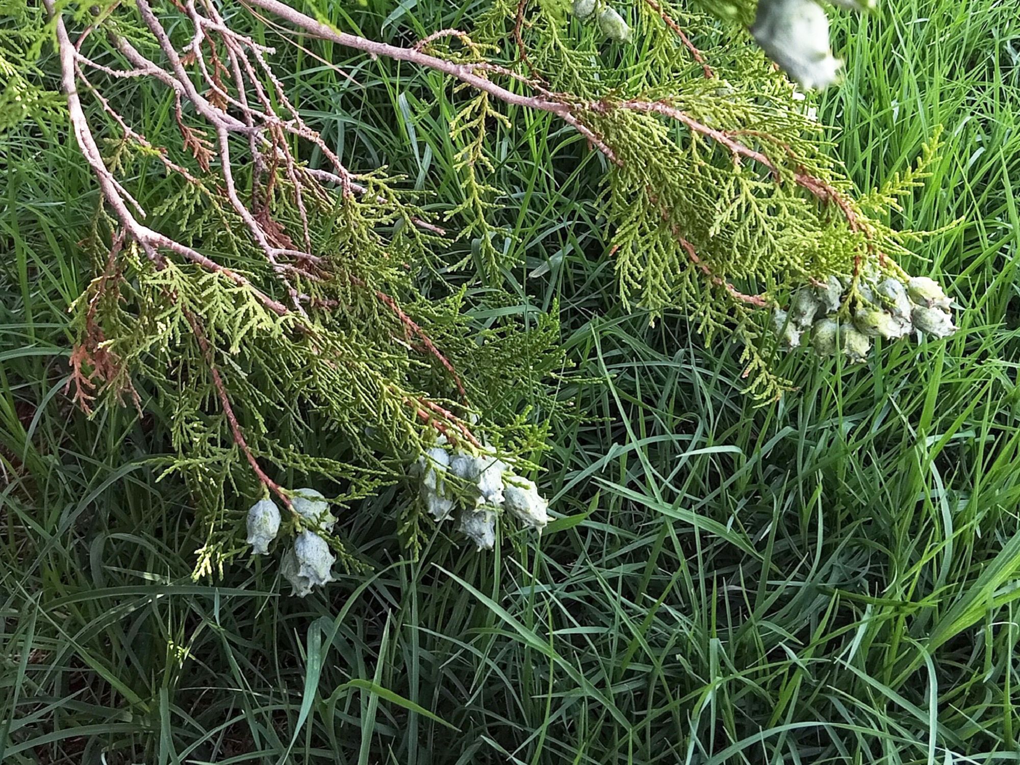 Community photo by Hassan