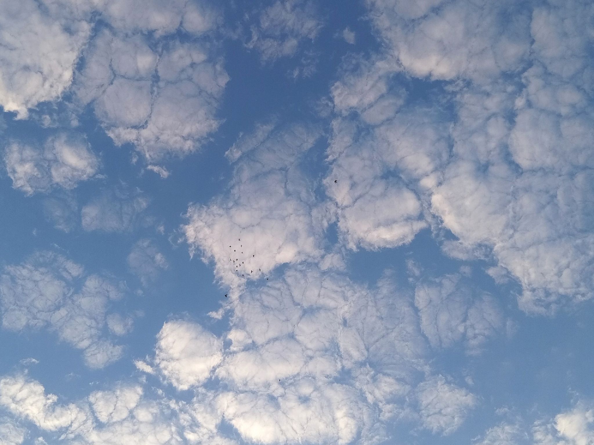 Community photo by Hassan