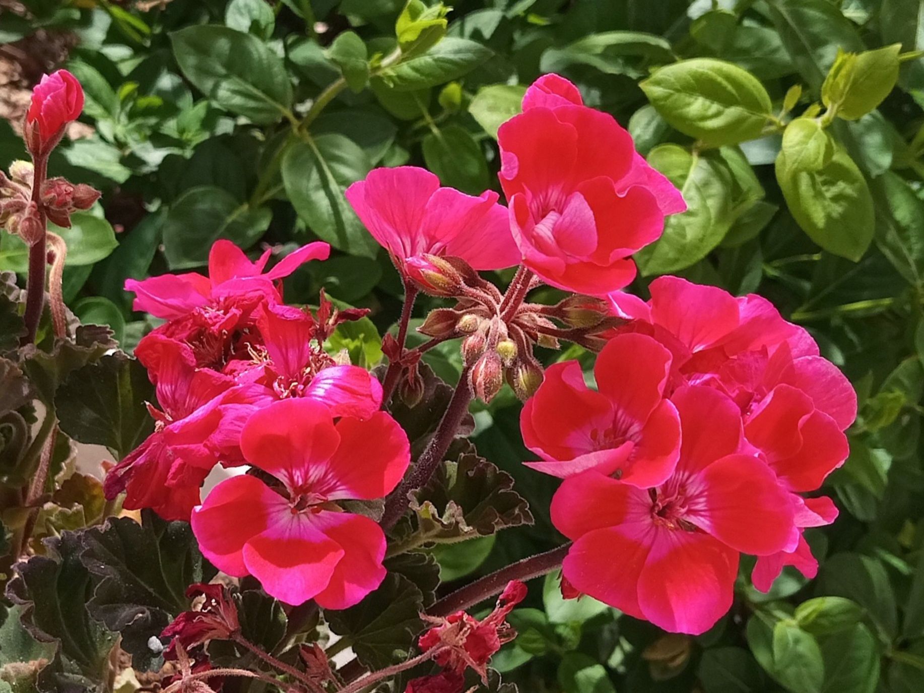 Community photo by Hassan