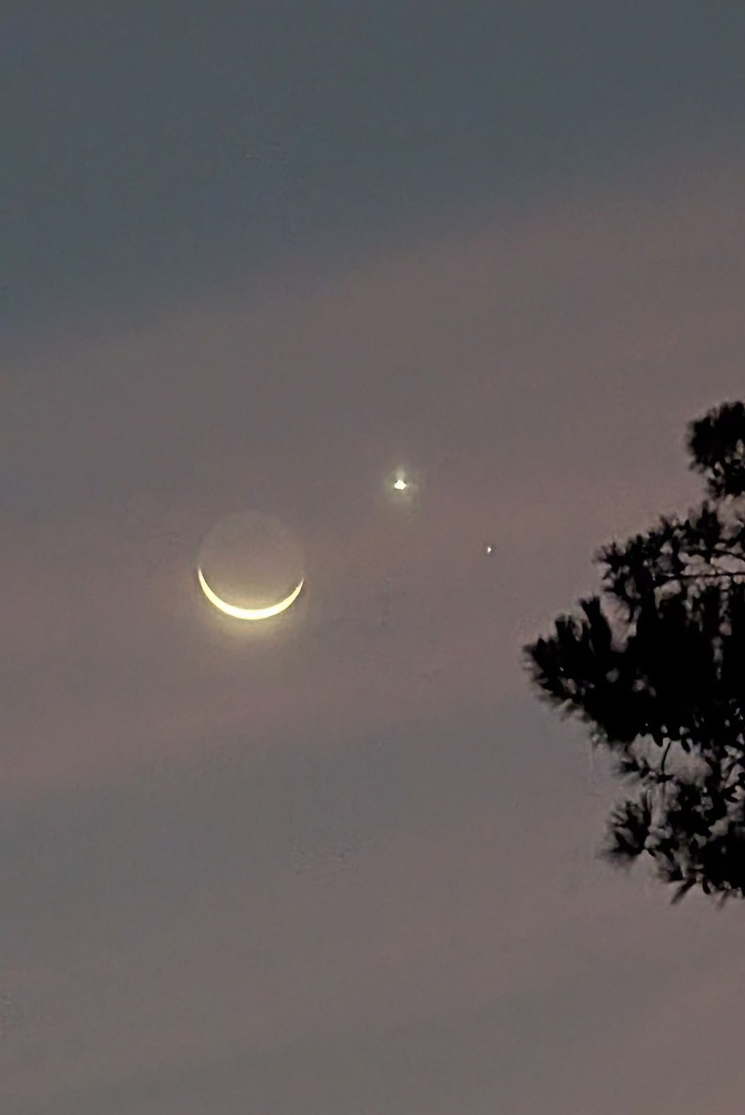 Community photo by Retha Sawyer | Davy Crockett Natl Forest, Kennard, TX, USA