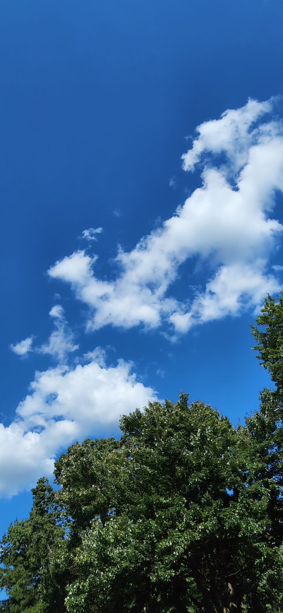 Community photo by Jacqueline