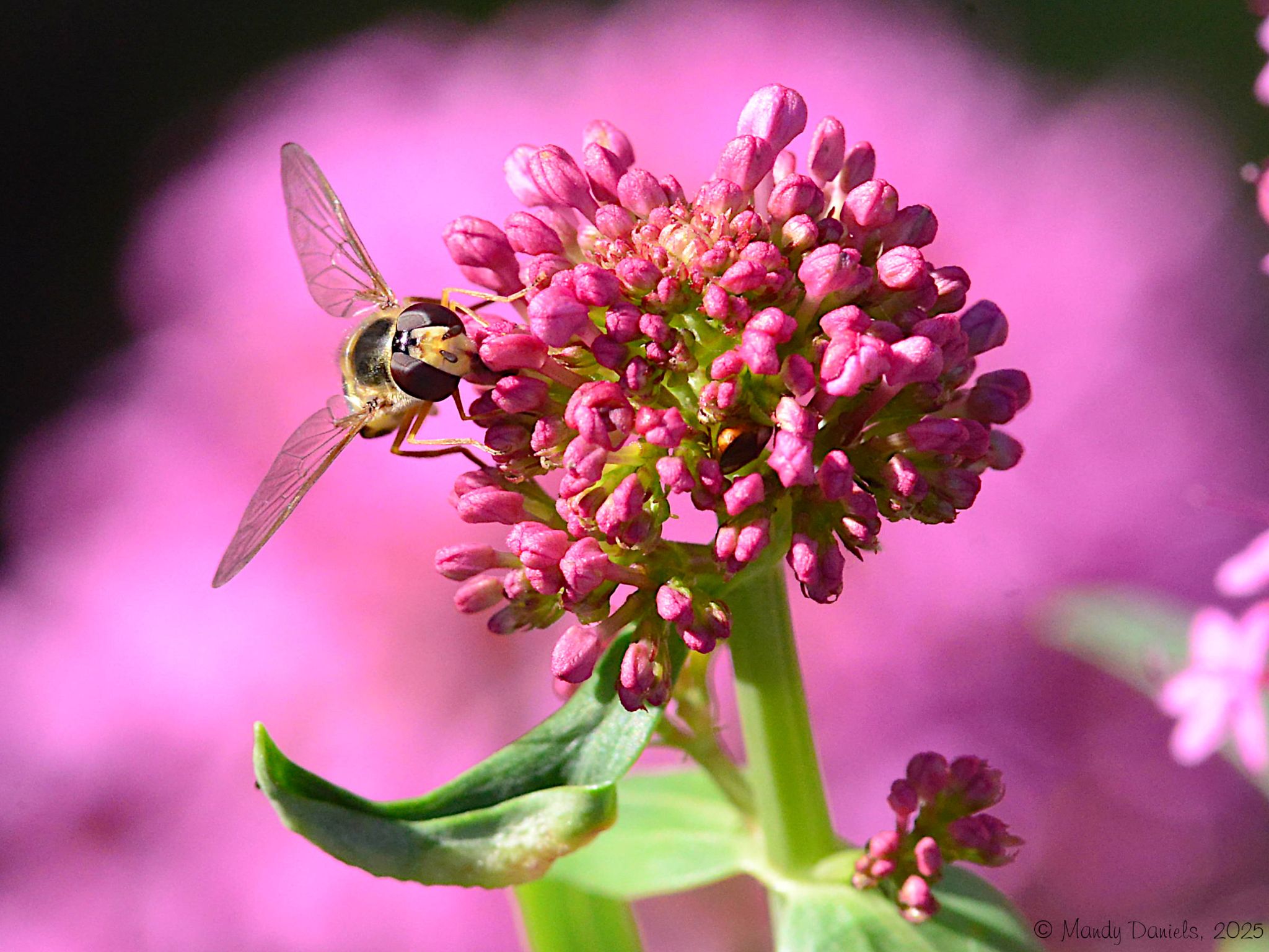 Community photo by Mandy