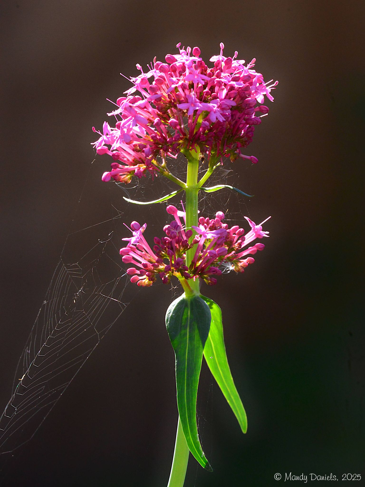 Community photo by Mandy