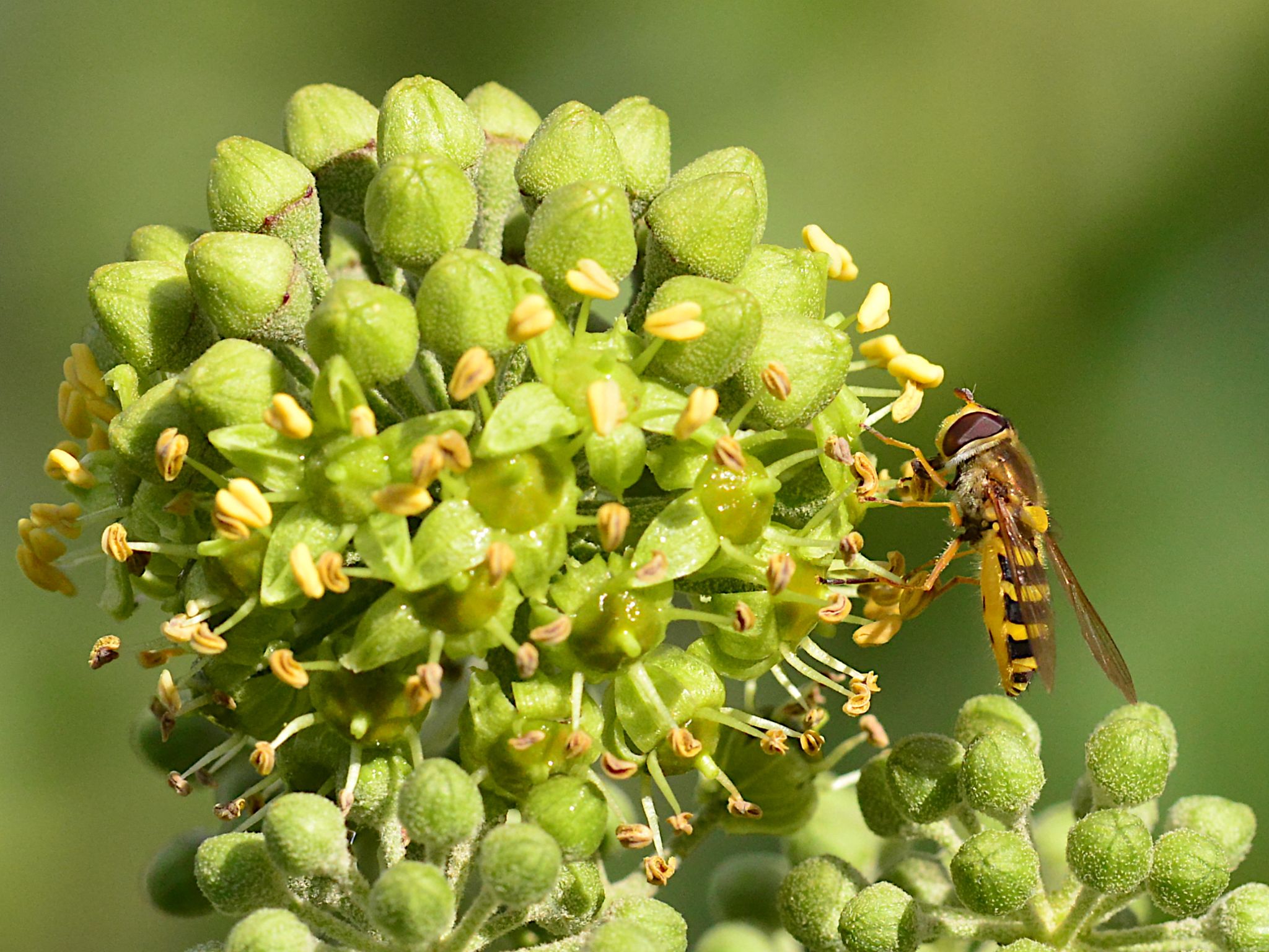 Community photo by Mandy