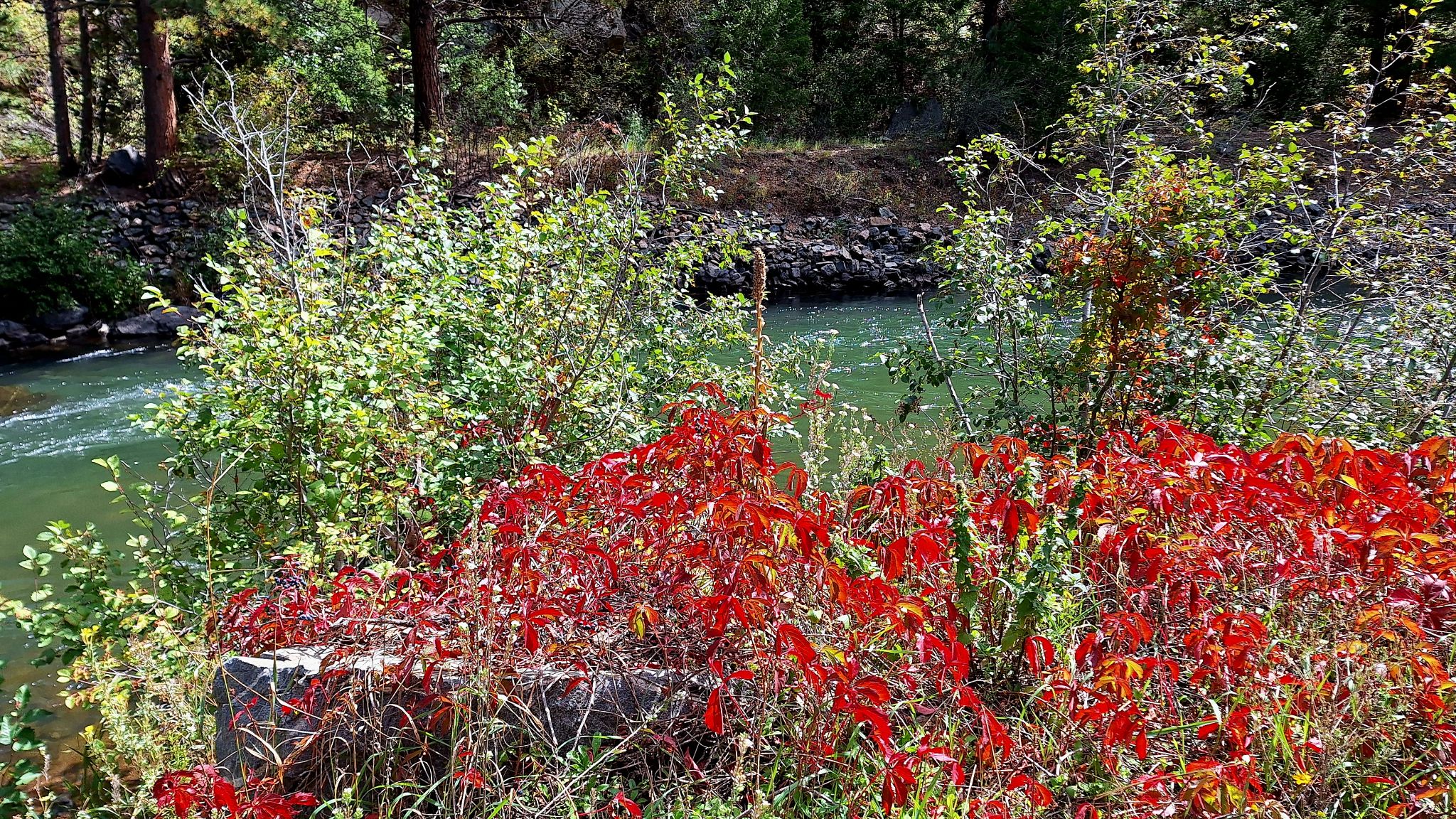 Community photo by zoe