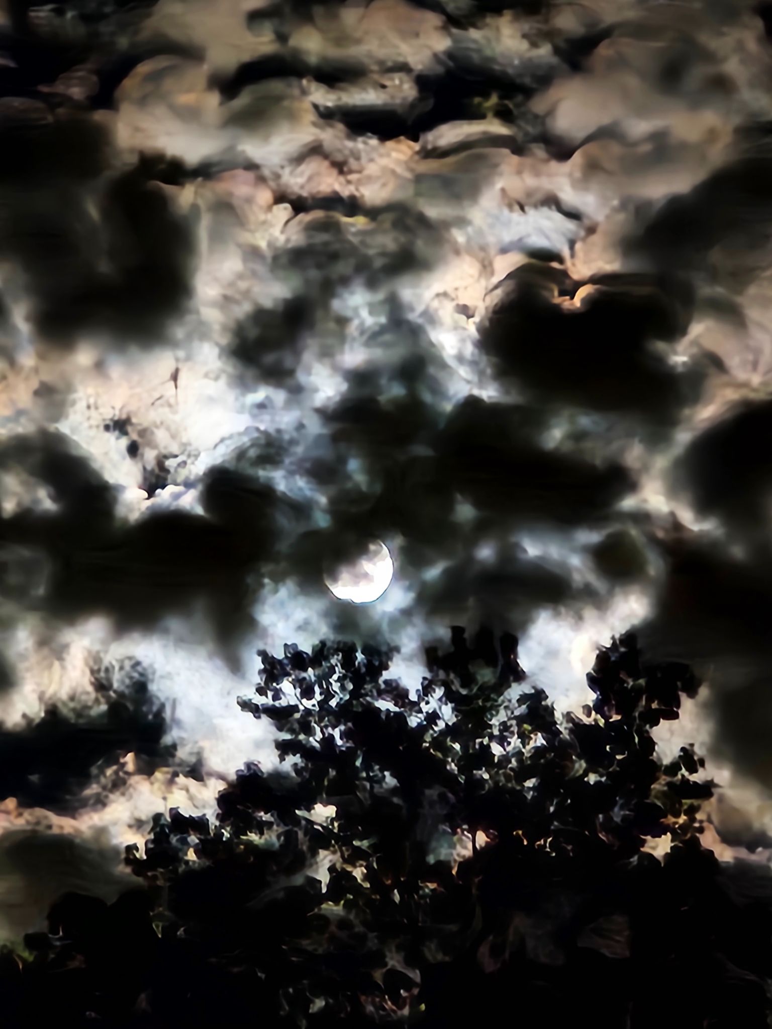 Community photo by C. Gentile | Florham Park, NJ USA