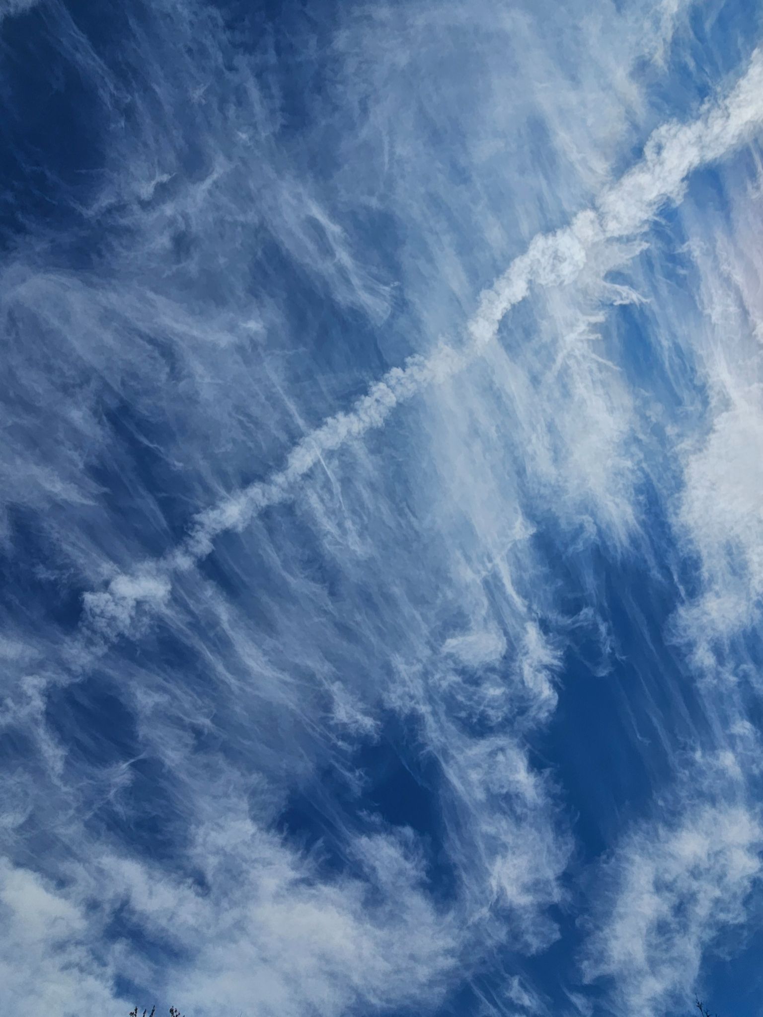 Community photo by C. Gentile | Florham Park, NJ USA