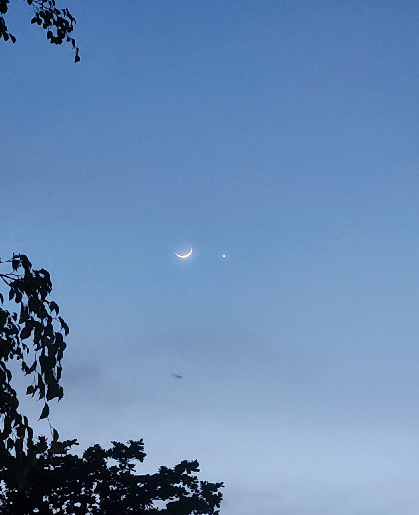 Community photo by Jo-Ann Hem Lee | Trincity, Trinidad & Tobago