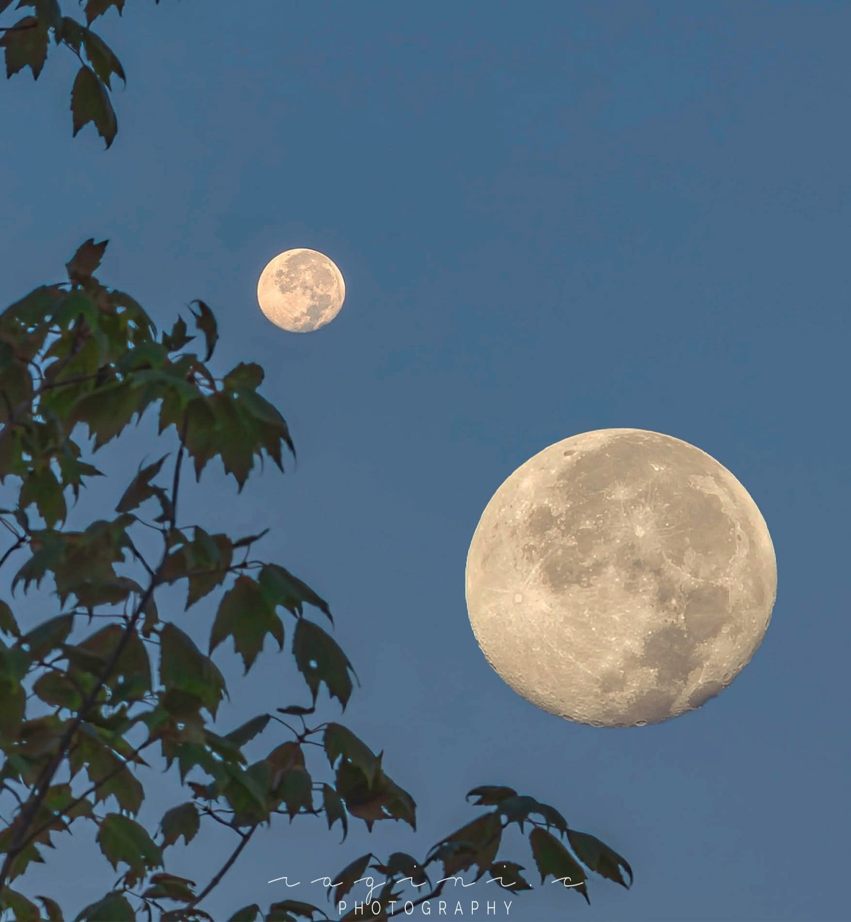 Community photo by Ragini Chaturvedi | NJ, USA