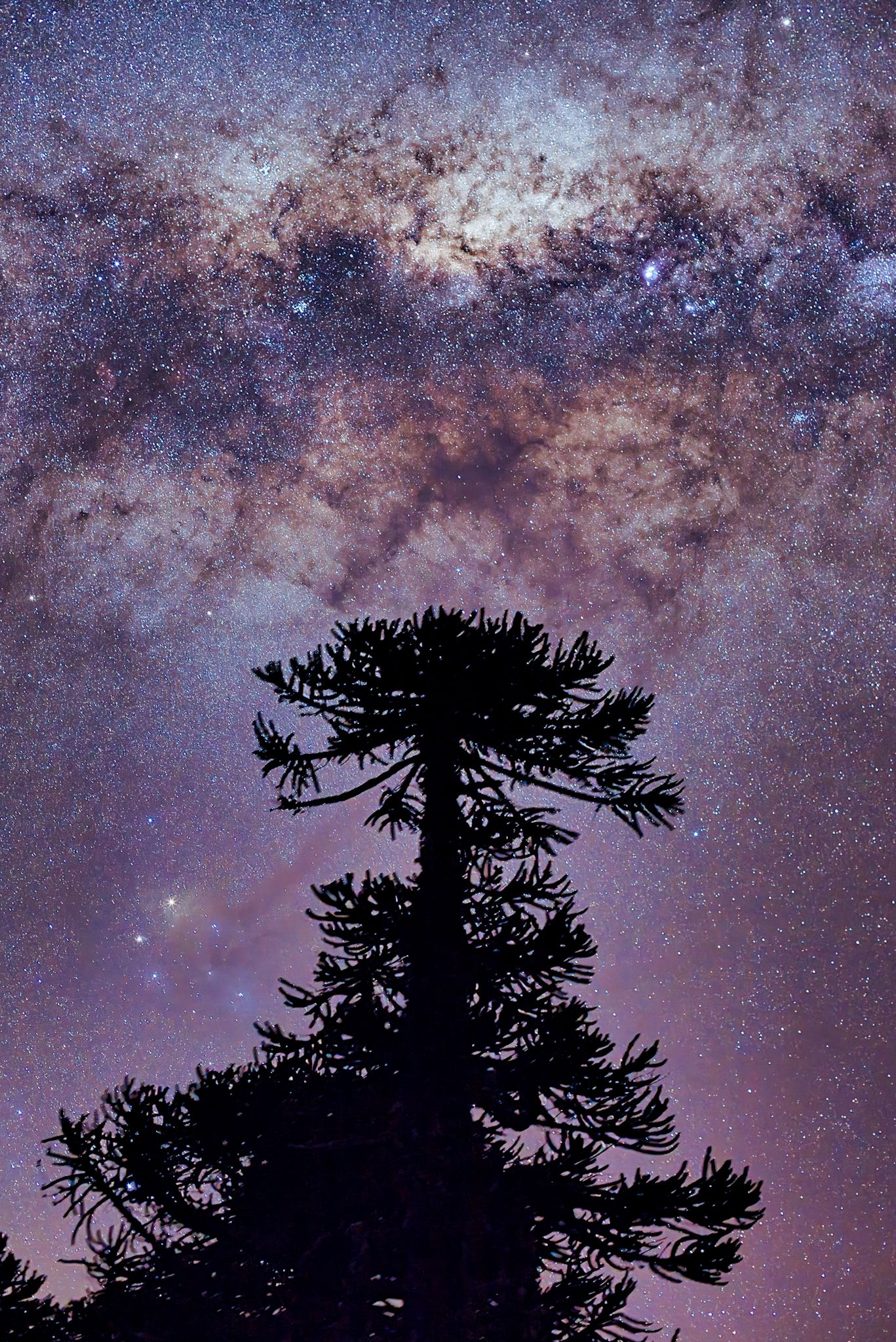 Community photo by Gabriel