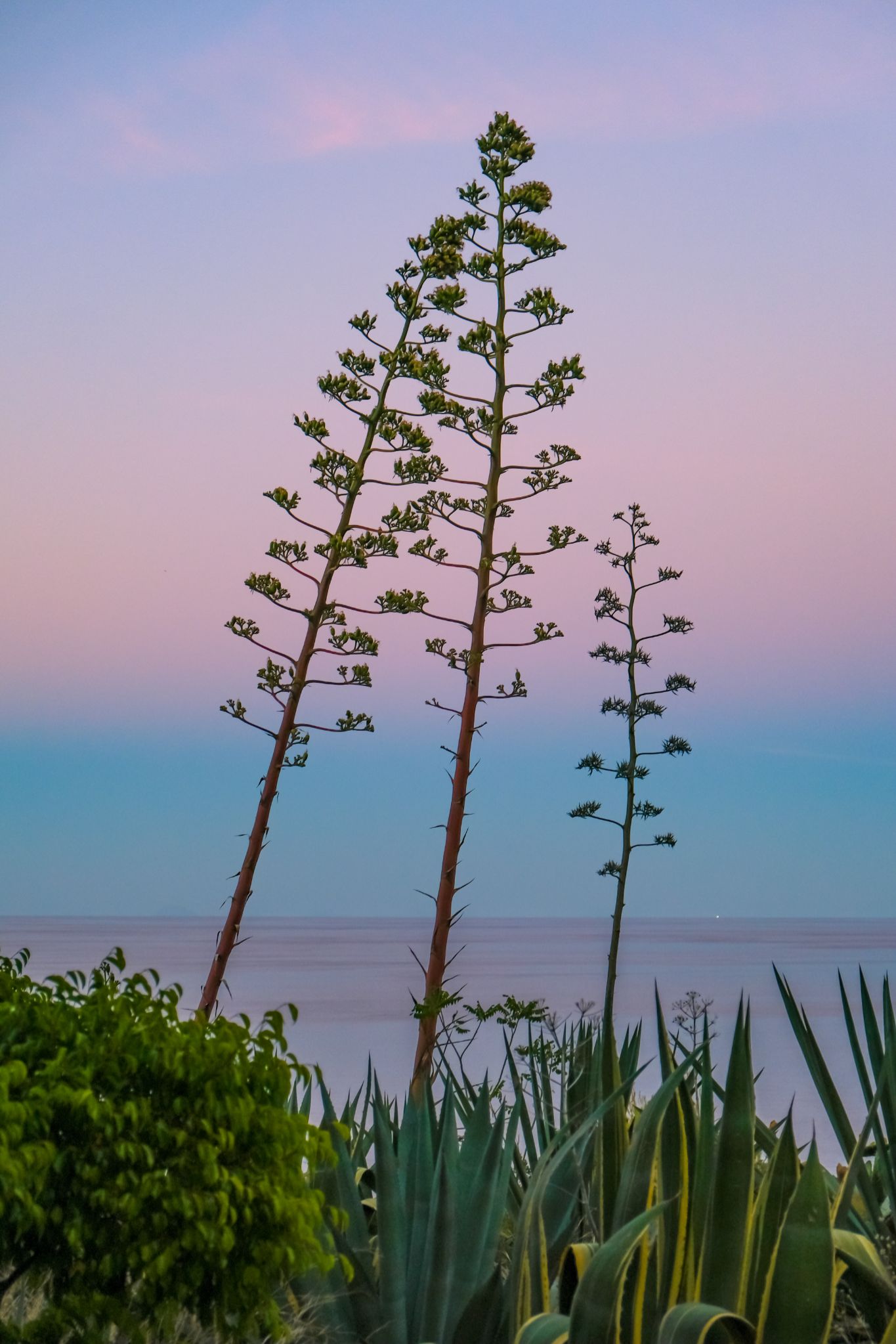 Community photo by Teresa Molinaro | Sicily, Southern Italy