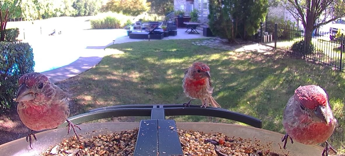 Community photo by Mark