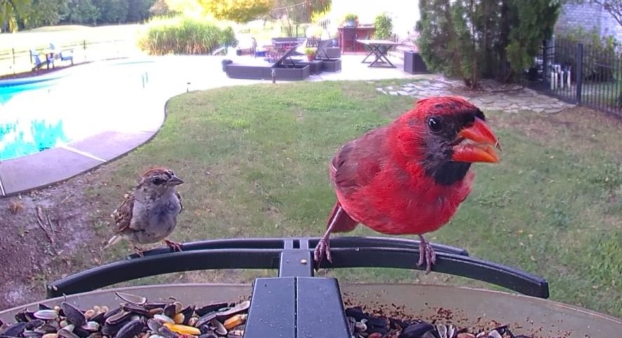 Community photo by Mark Wralstad | Virginia Beach, VA, USA