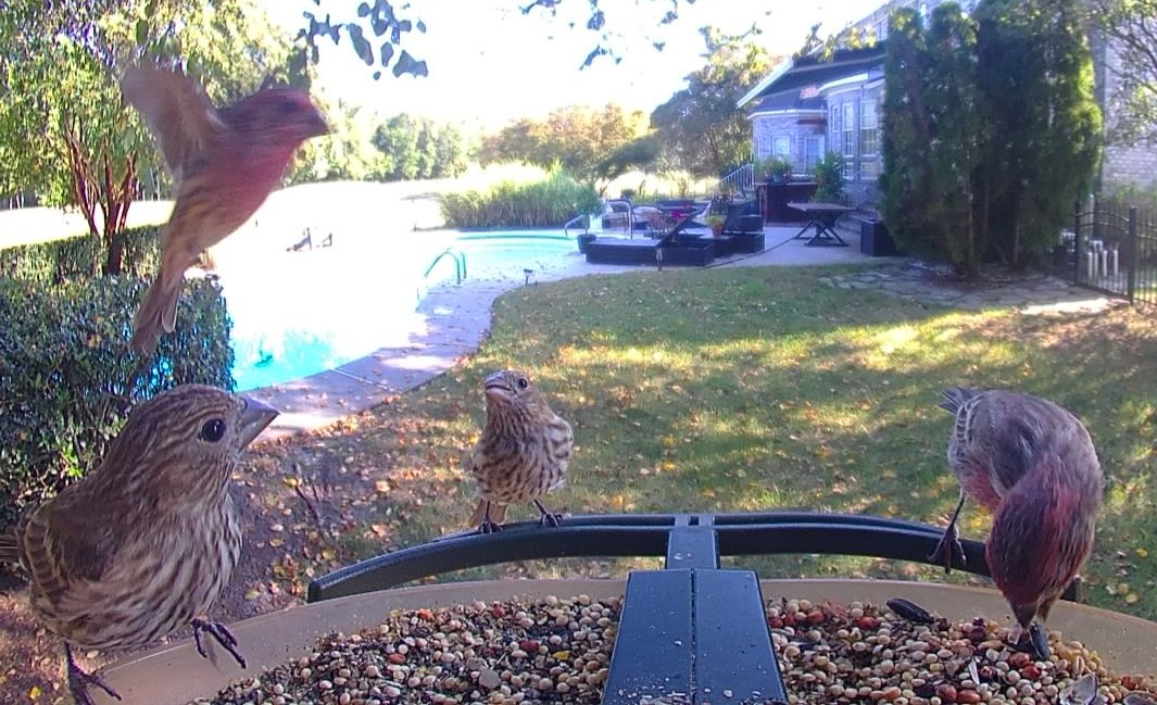 Community photo by Mark Wralstad | Virginia Beach, VA, USA