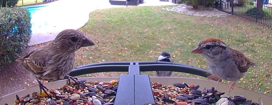 Community photo by Mark