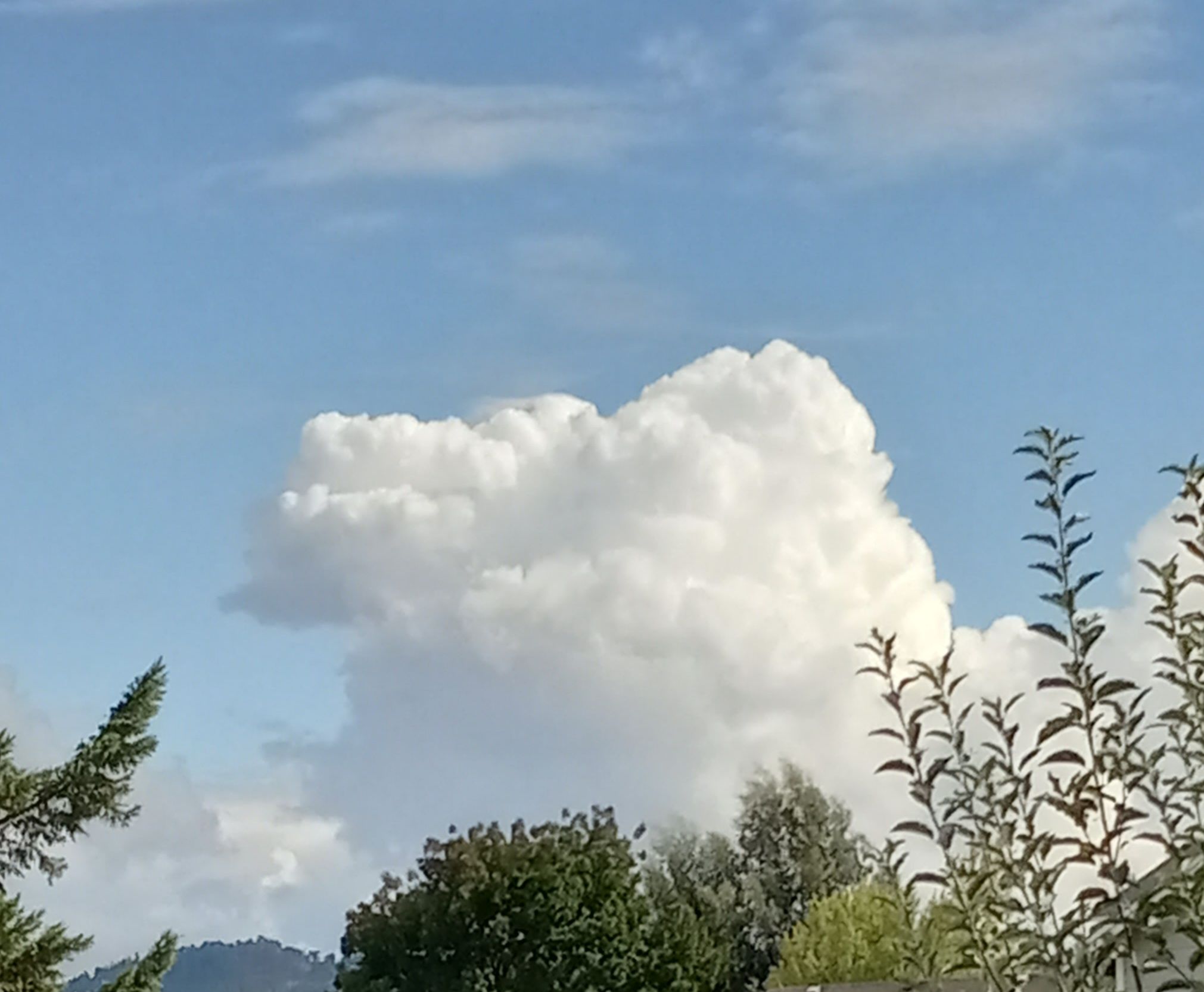 Community photo by Dolores de la Fuente | Roseburg,  Oregon 09