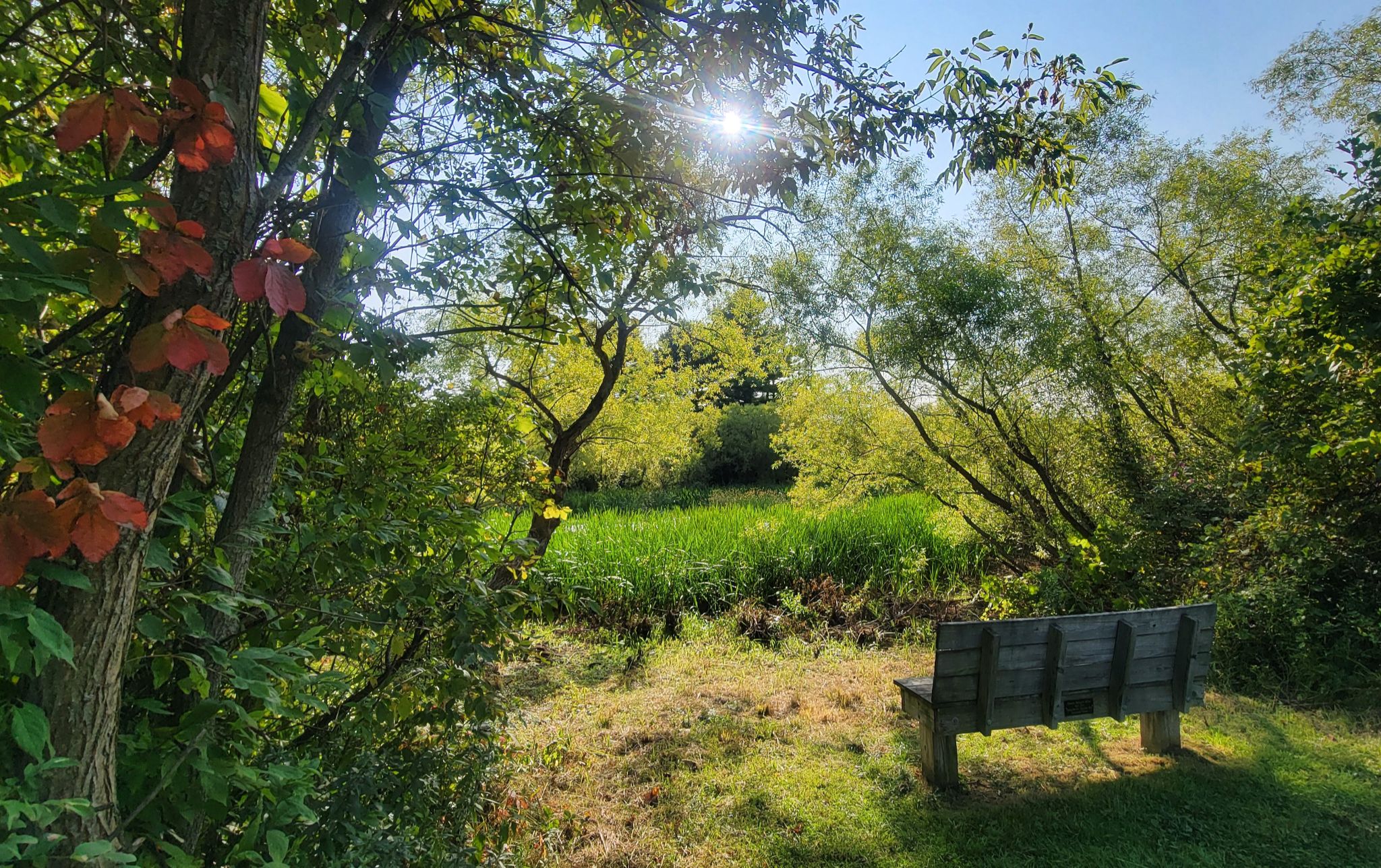 Community photo by Lorraine