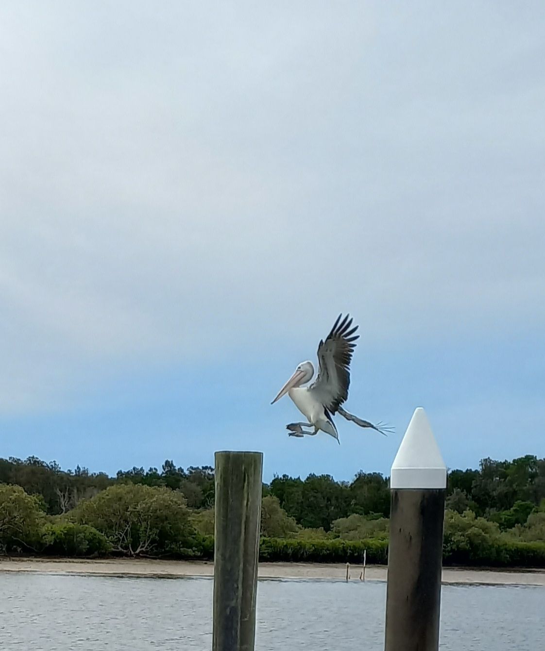 Community photo by Erika