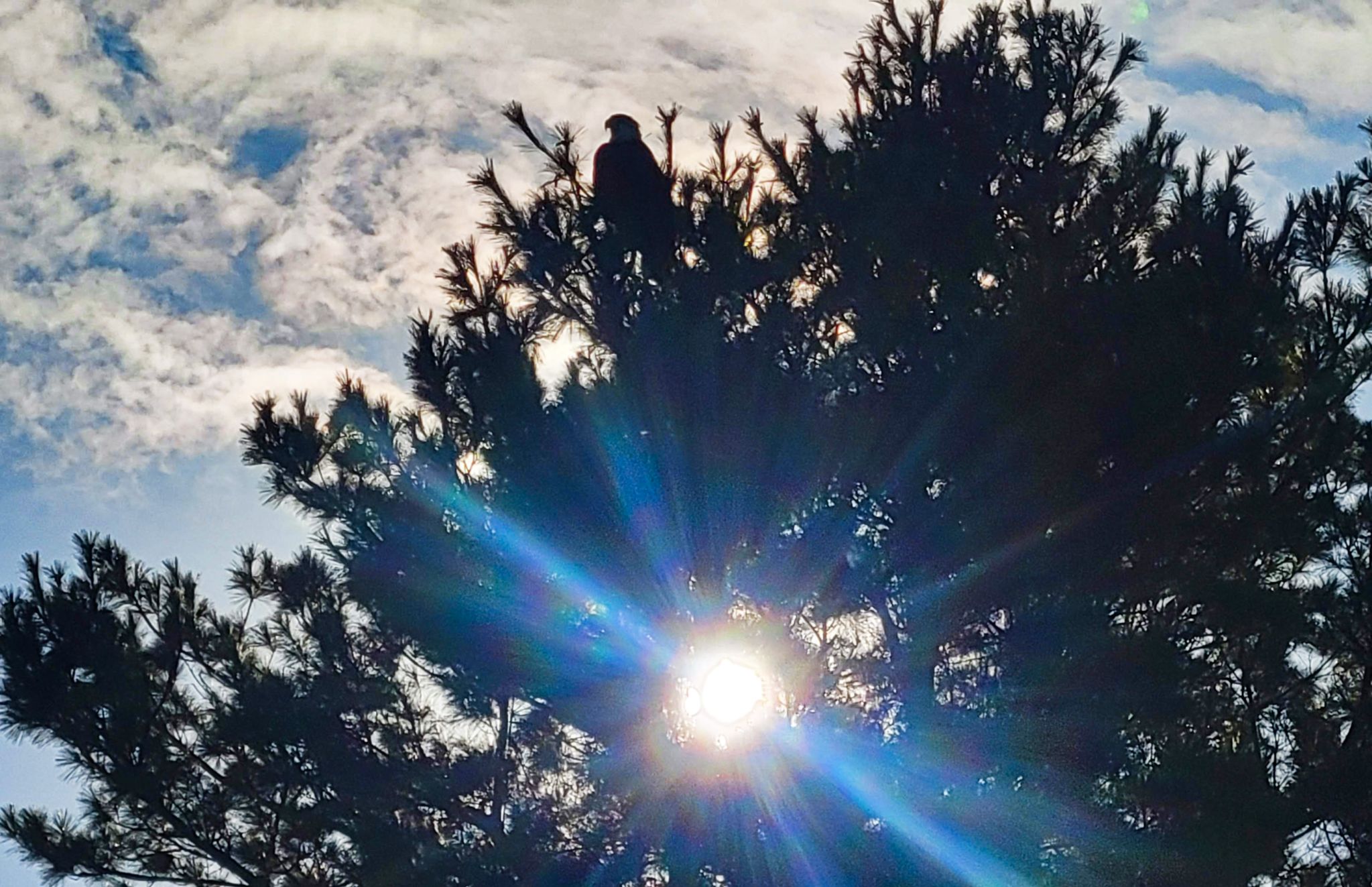 Community photo by Lorraine Boyd | Cobleskill, New York