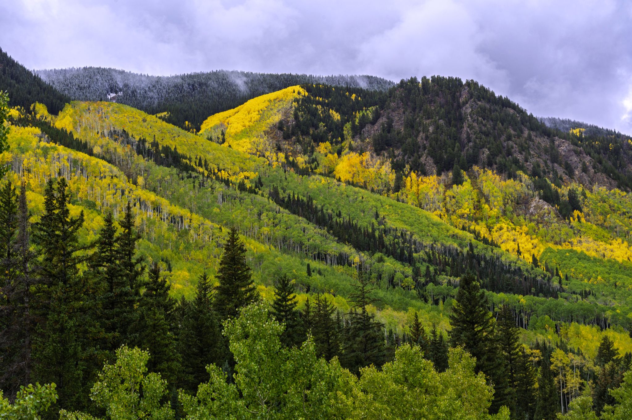 Community photo by Kathie O'Donnell | near Ashcroft, CO, USA