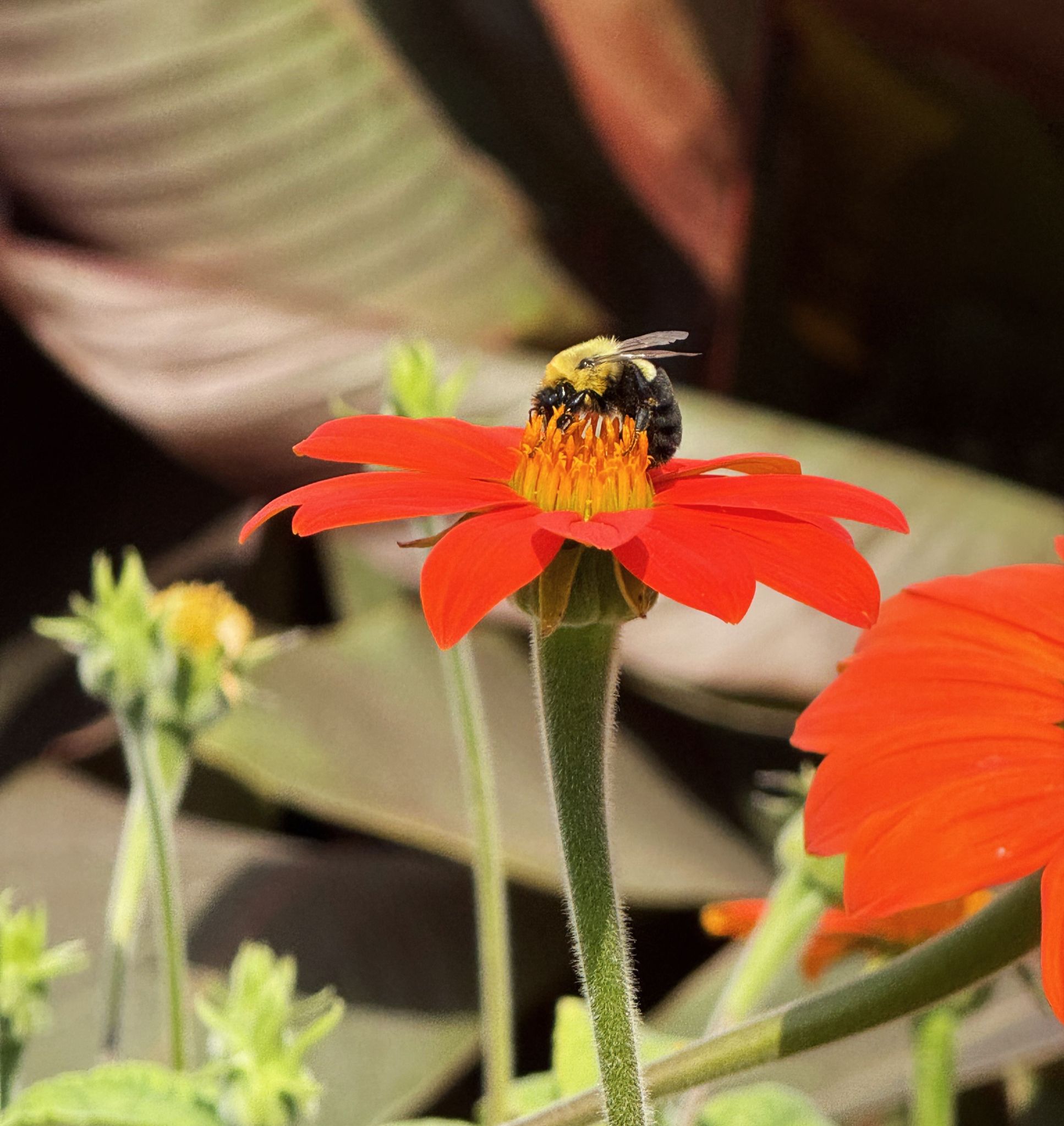 Community photo by Asha