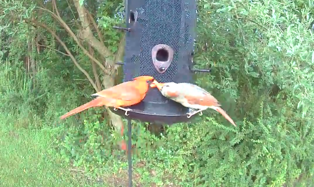 Community photo by David Fradkin | Effort, PA, USA07