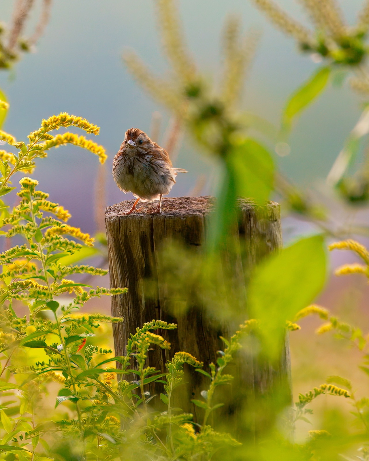 Community photo by Don