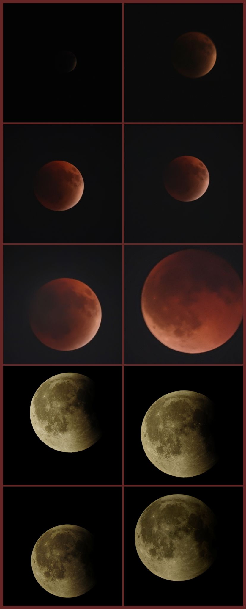 Community photo by Syed Hunain Riaz | Riyadh, Saudi Arabia