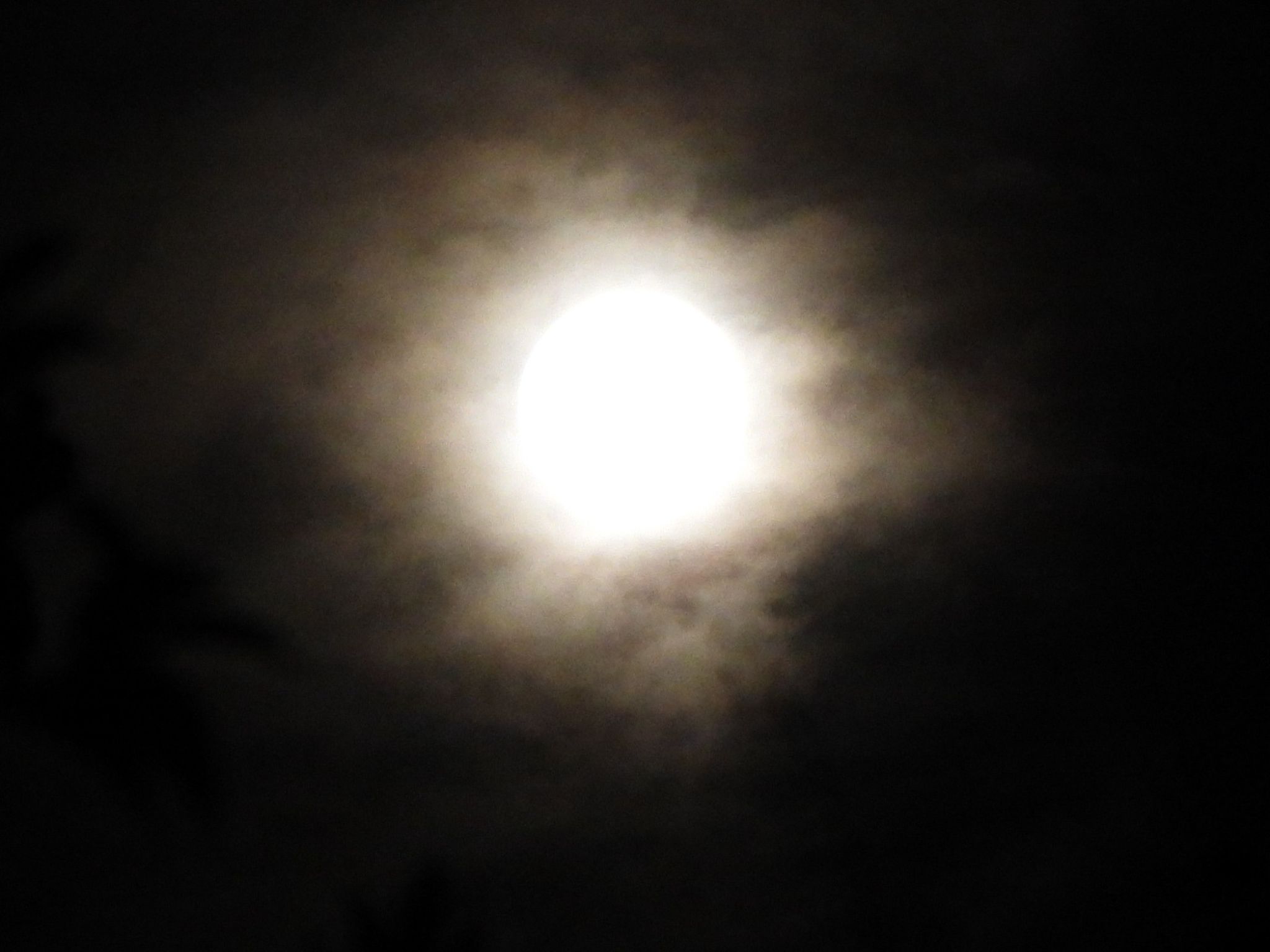 Community photo by Judith Gaffney | Birmingham UK