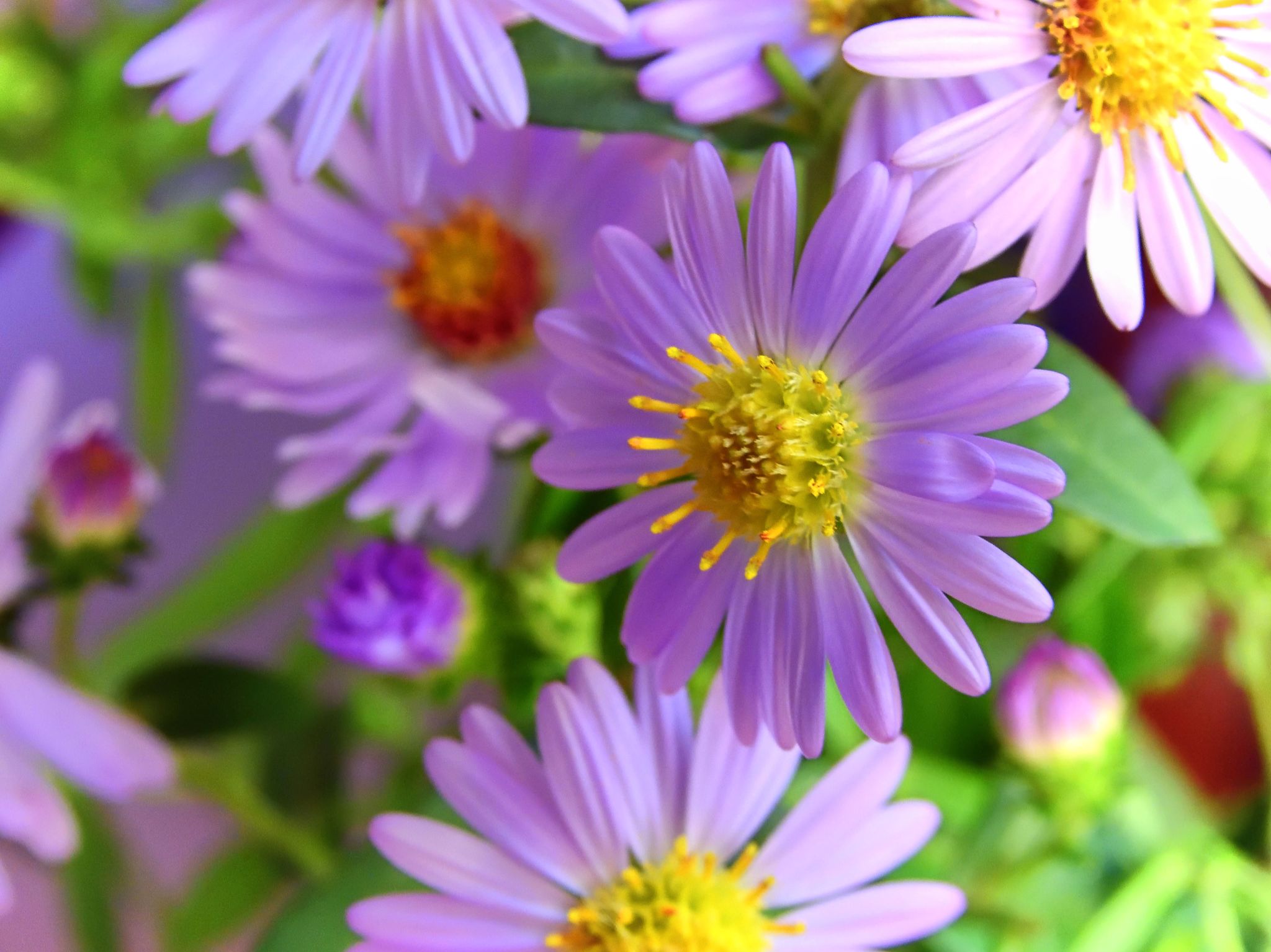 Community photo by Cecille