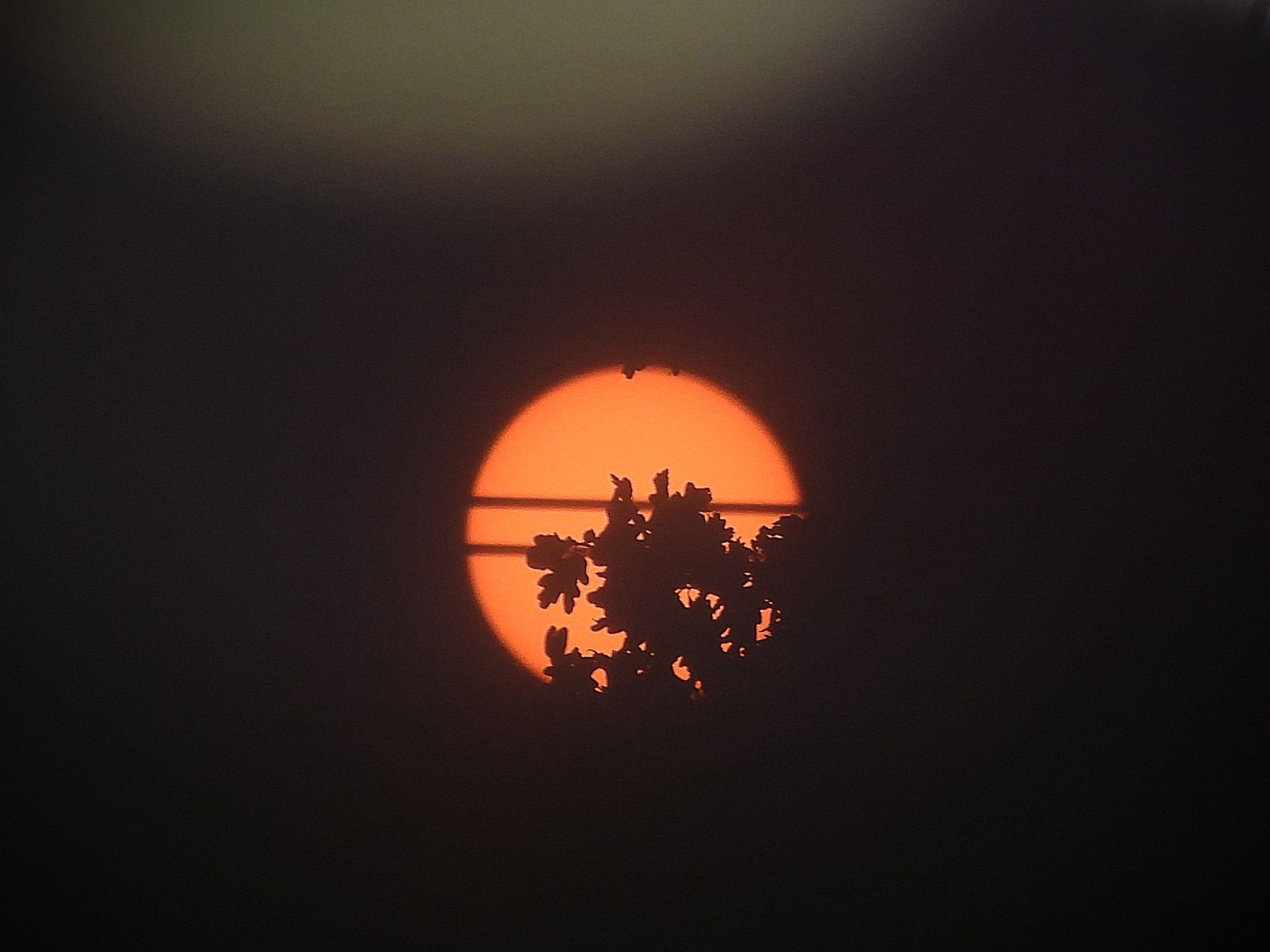 Community photo by Judith Gaffney | Birmingham UK