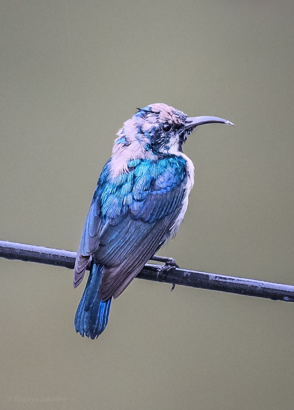 Community photo by Shaurya Salunkhe | Pune, Maharashtra, India