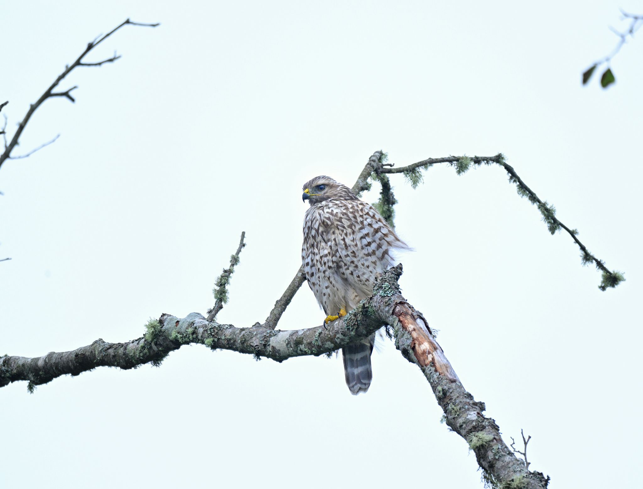 Community photo by Cecille