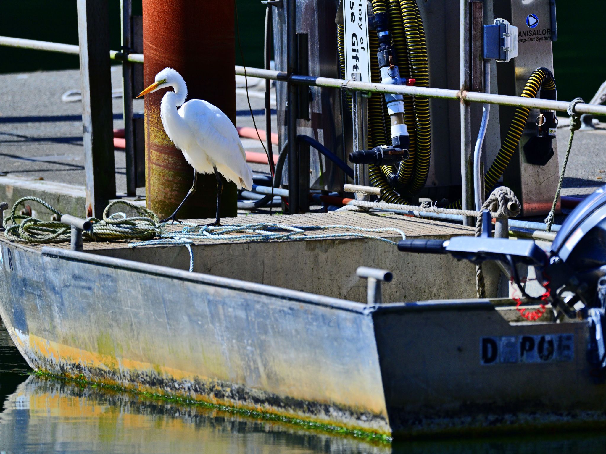 Community photo by Cecille