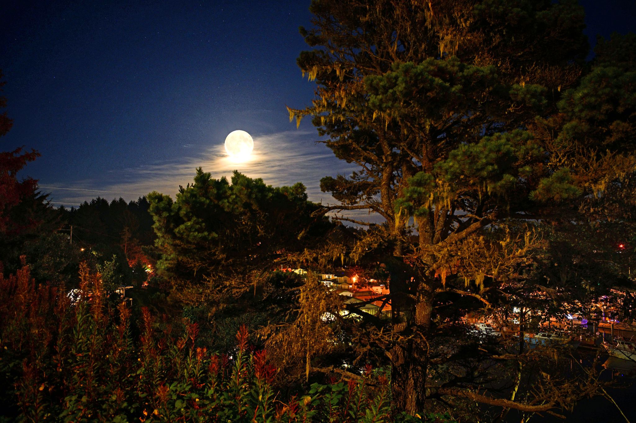 Community photo by Cecille