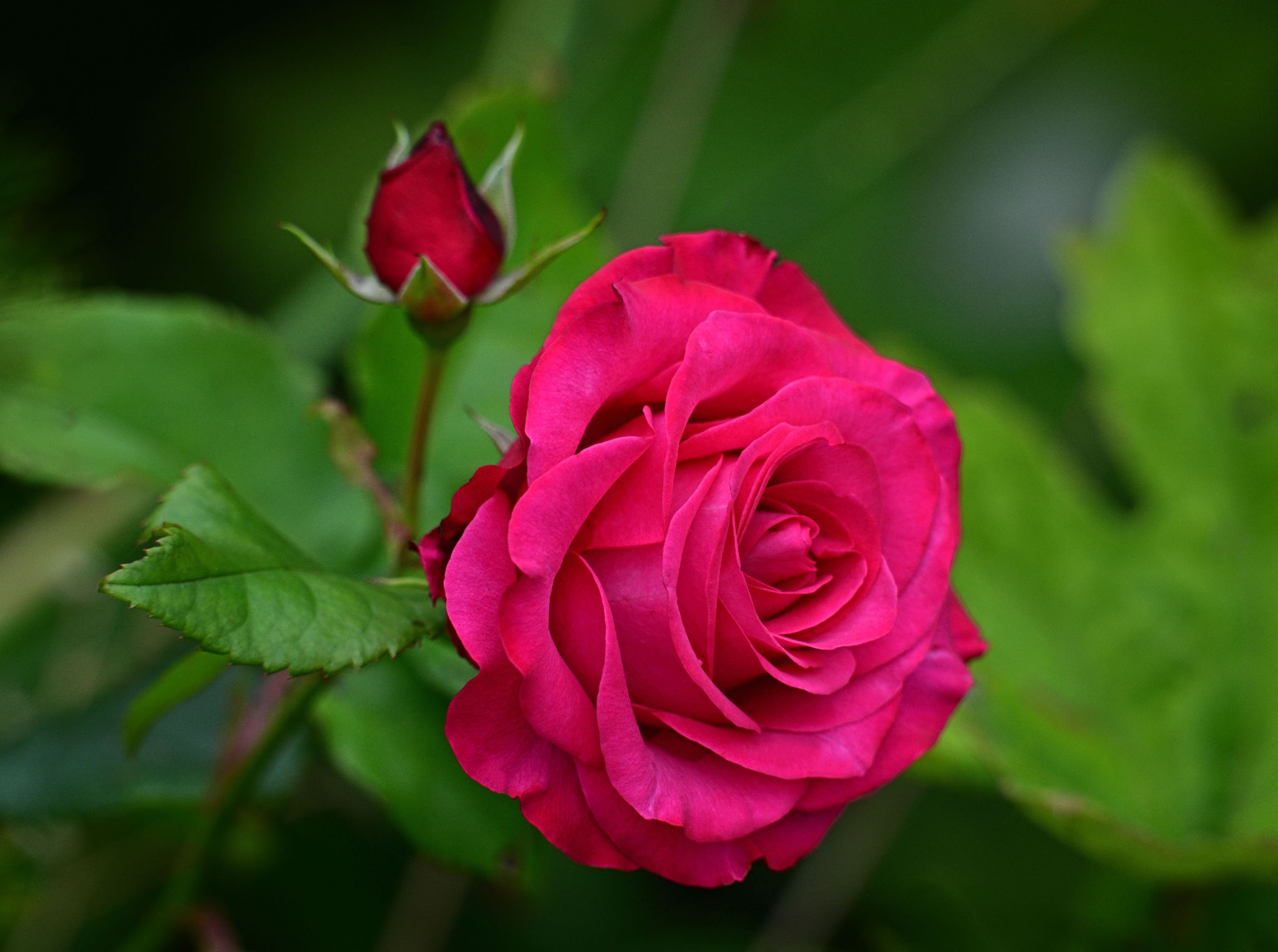 Community photo by Cecille