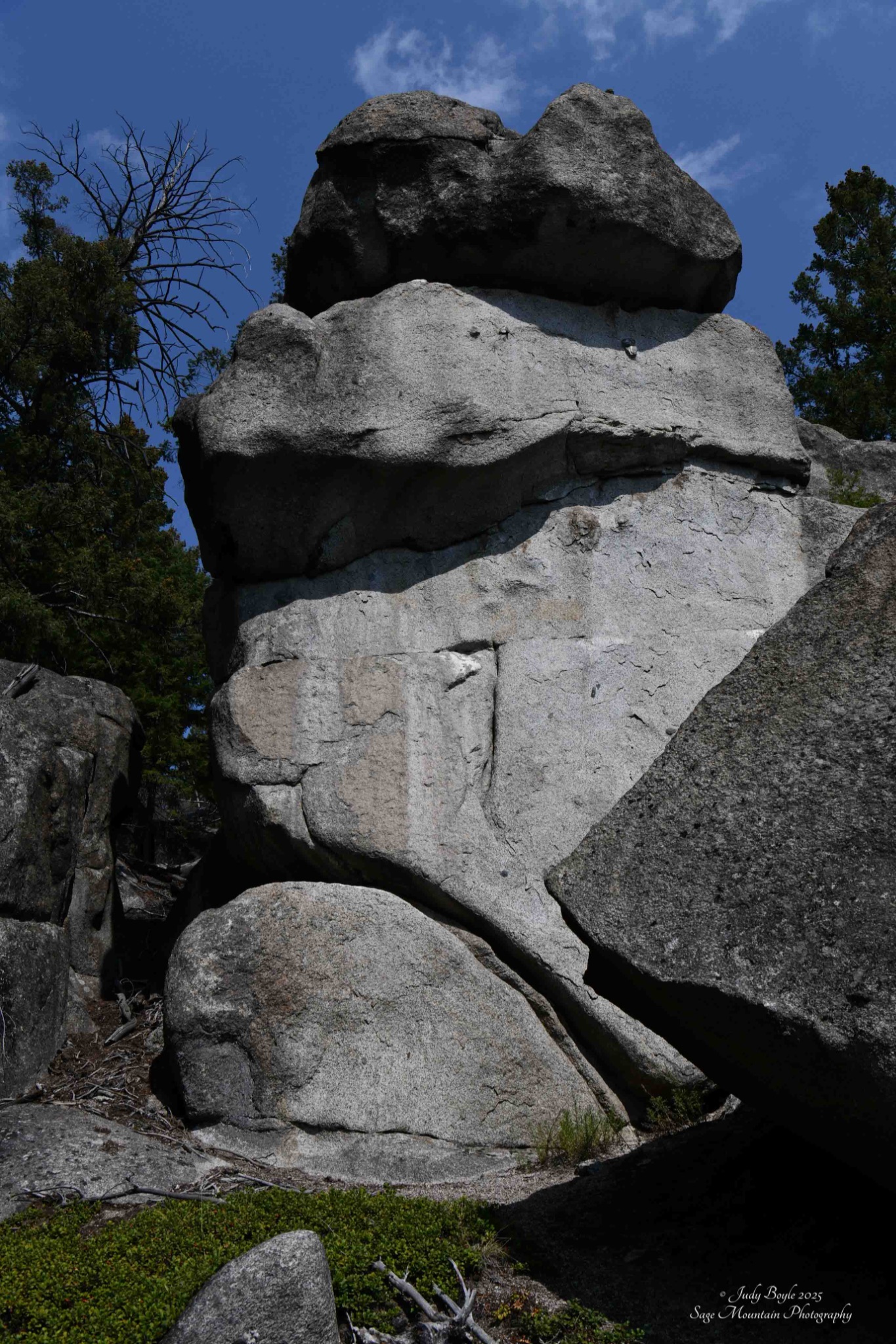 Community photo by Judy